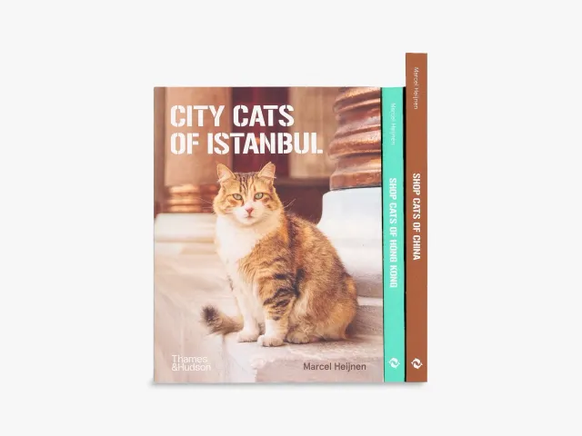 Thames & Hudson Cats of sæt kattebog 3 bind Istanbul