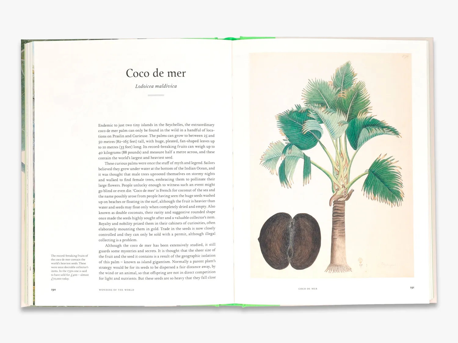 Thames & Hudson Remarkable Trees bog om træer