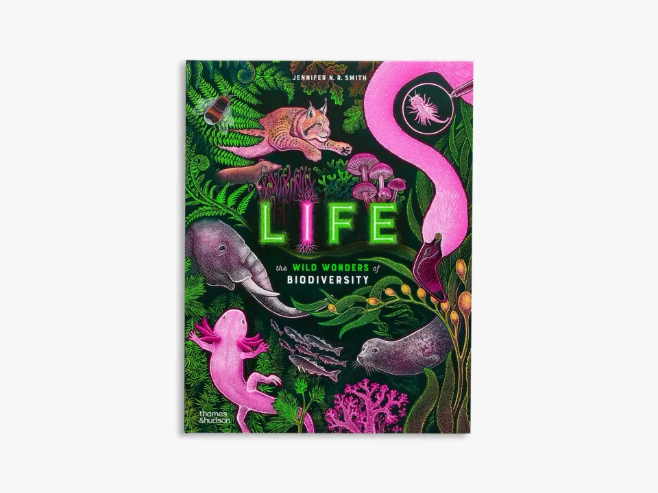 Wild Wonders Life børnebog biodiversitet Smith
