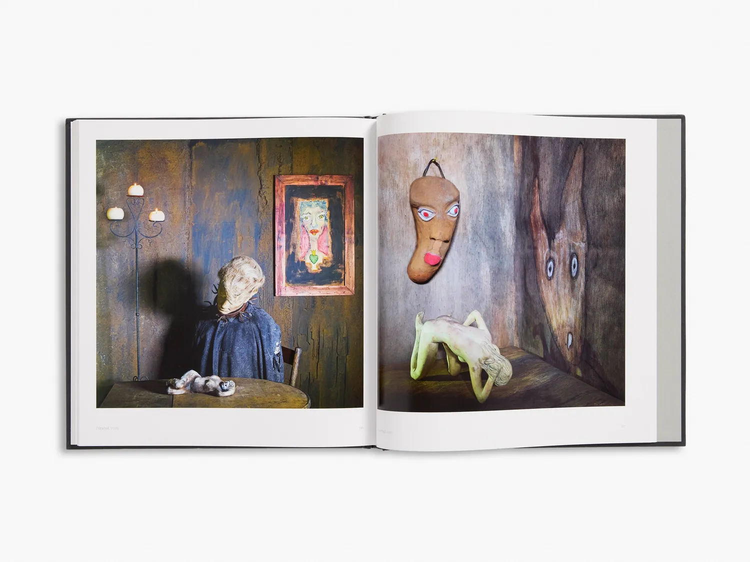 Thames & Hudson Roger Ballen Spirits Spaces fotobog farve