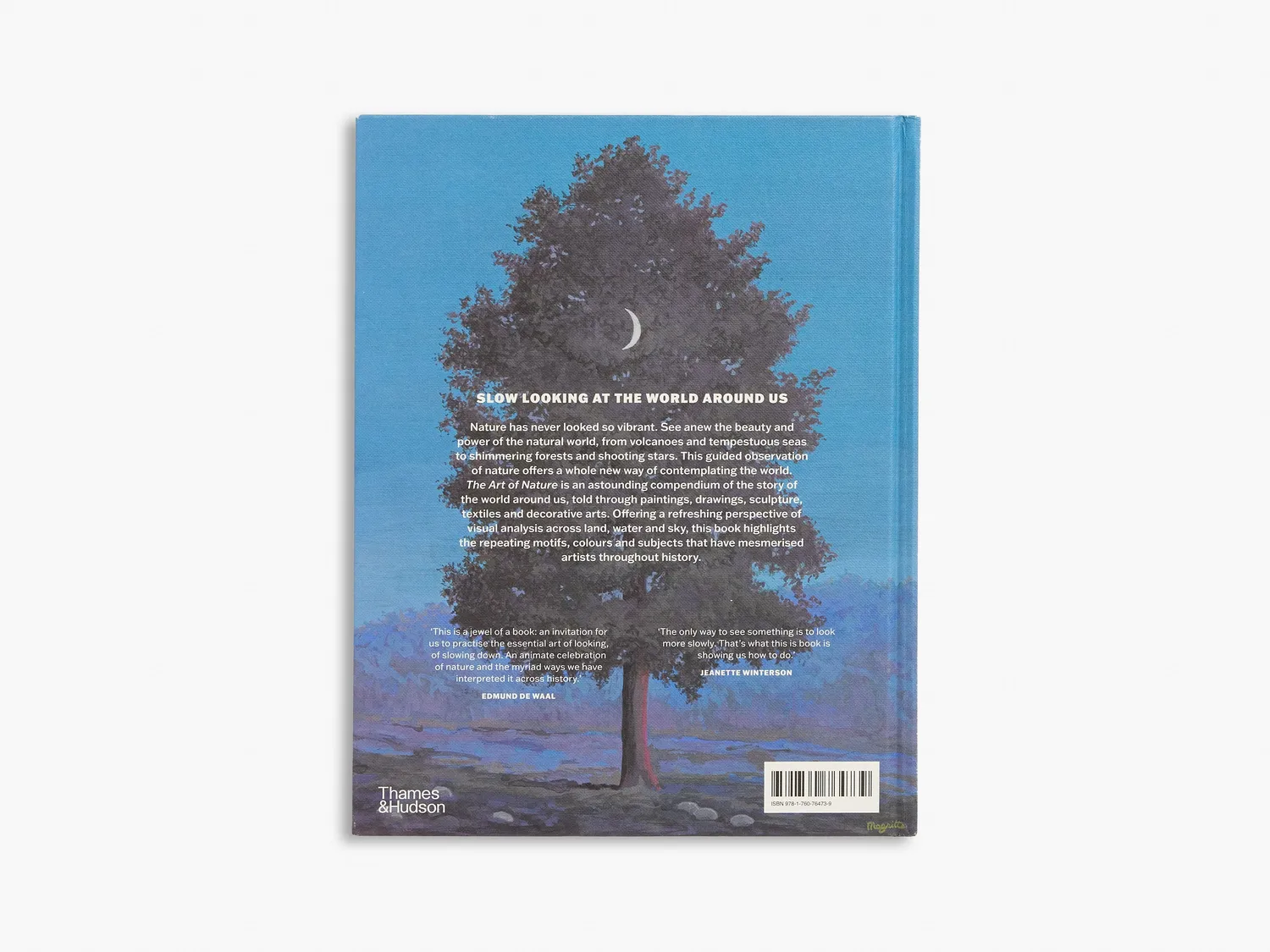 Thames & Hudson Slow Looking bog om kunst og natur