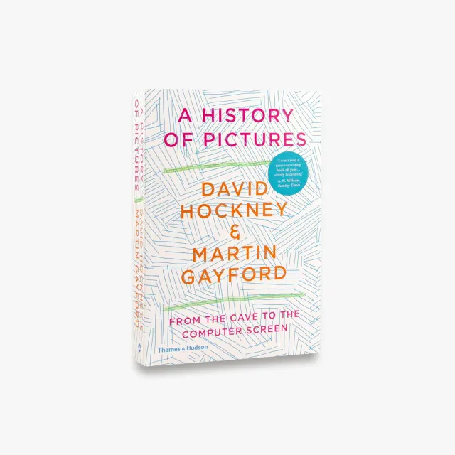 Thames & Hudson A History of Pictures bog Hockney