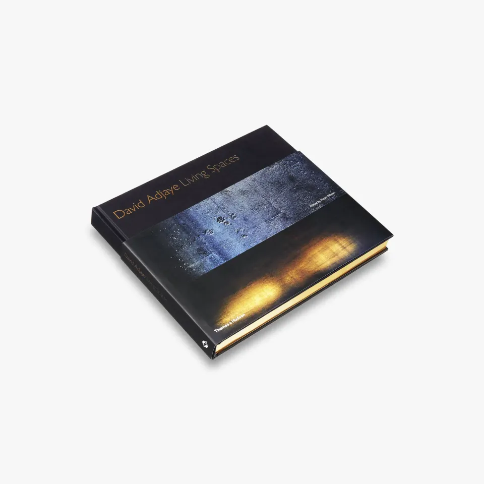 Thames & Hudson David Adjaye bog arkitekturmonografi huse
