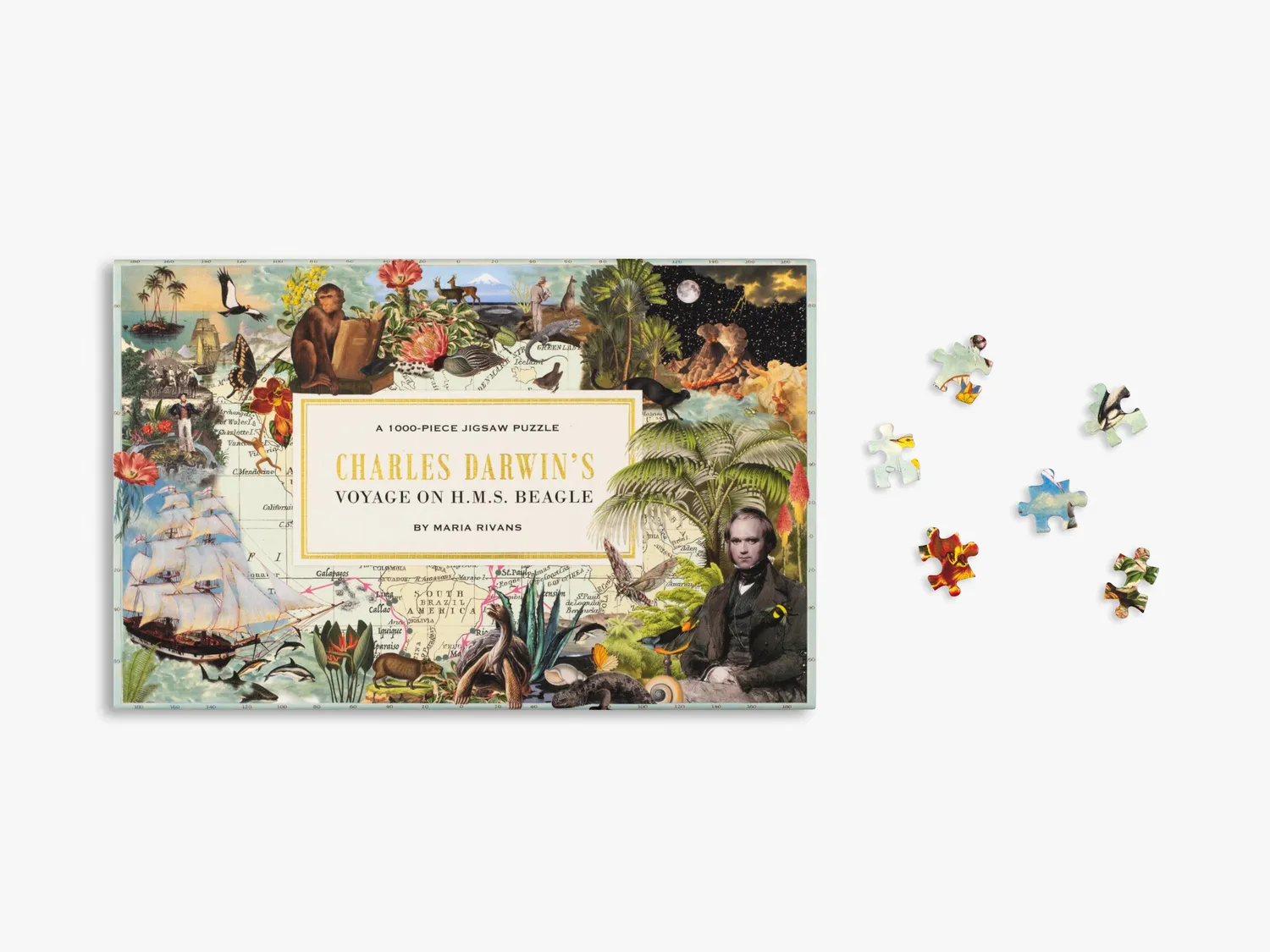 Thames & Hudson Charles Darwin's Voyage puslespil 1000 brikker