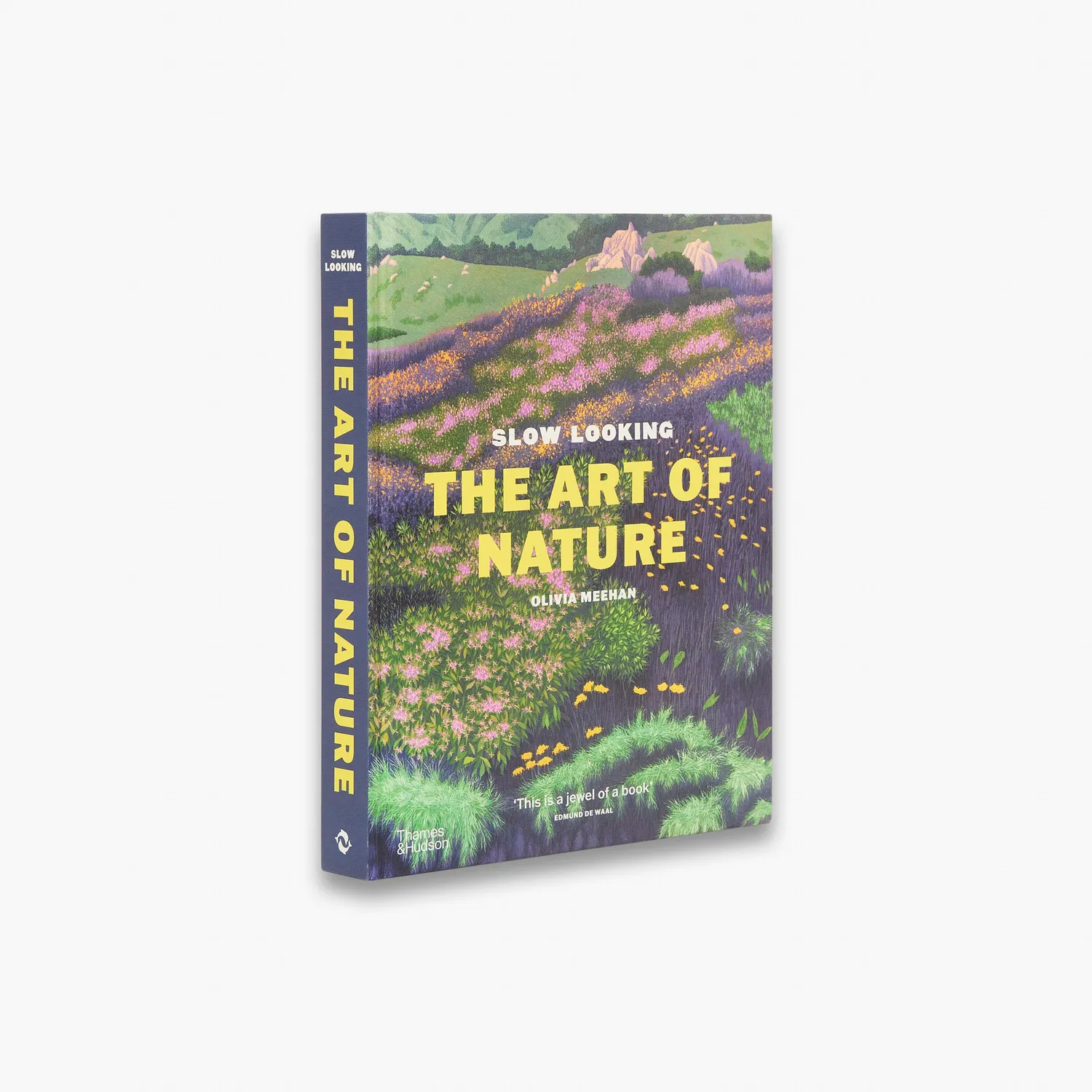 Thames & Hudson Slow Looking bog om kunst og natur