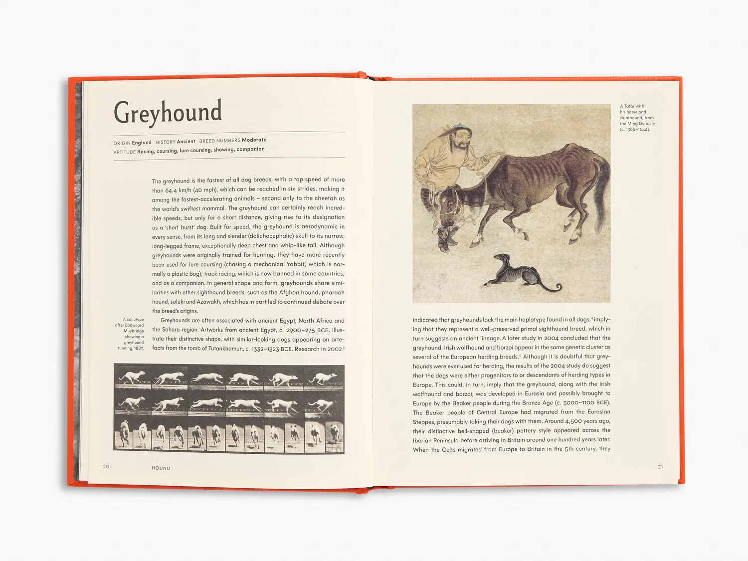 Thames & Hudson The Invention of the Dog bog om hunderacer
