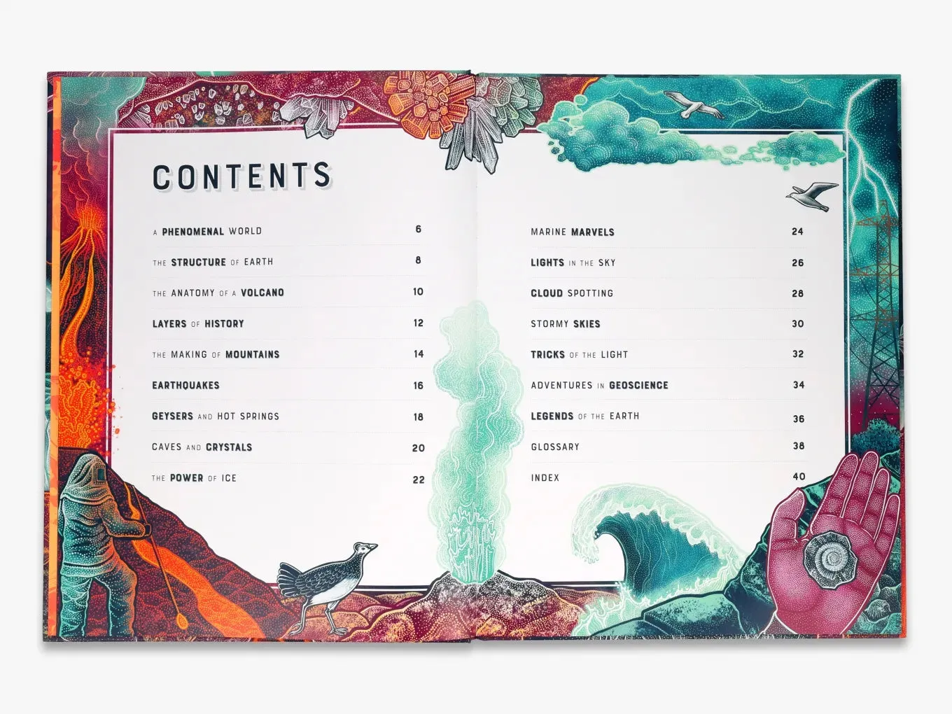 Thames & Hudson Wild Wonders Bang bog illustreret natur