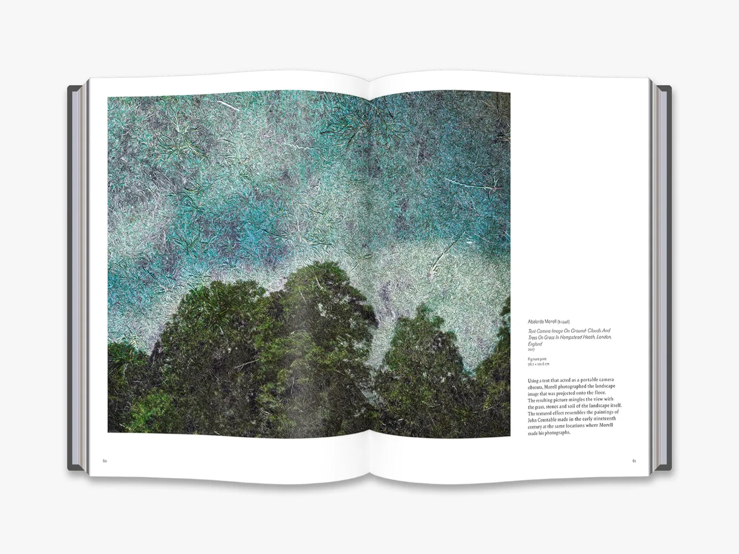 Thames & Hudson Into the Woods fotobog træer V&A