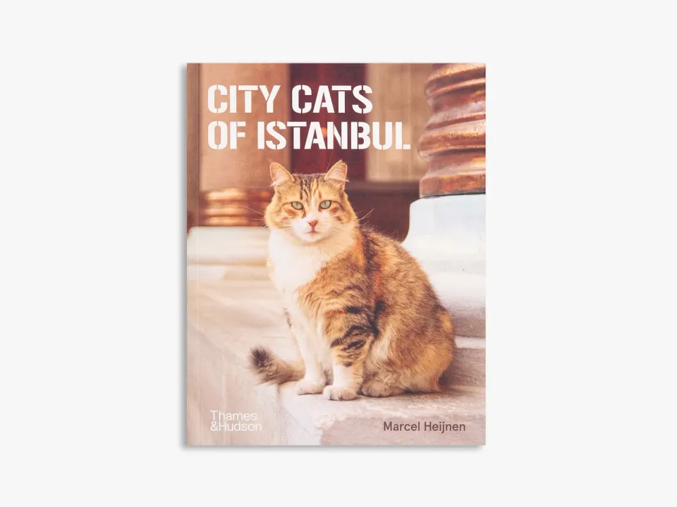 Thames & Hudson City Cats of Istanbul fotobog illustreret