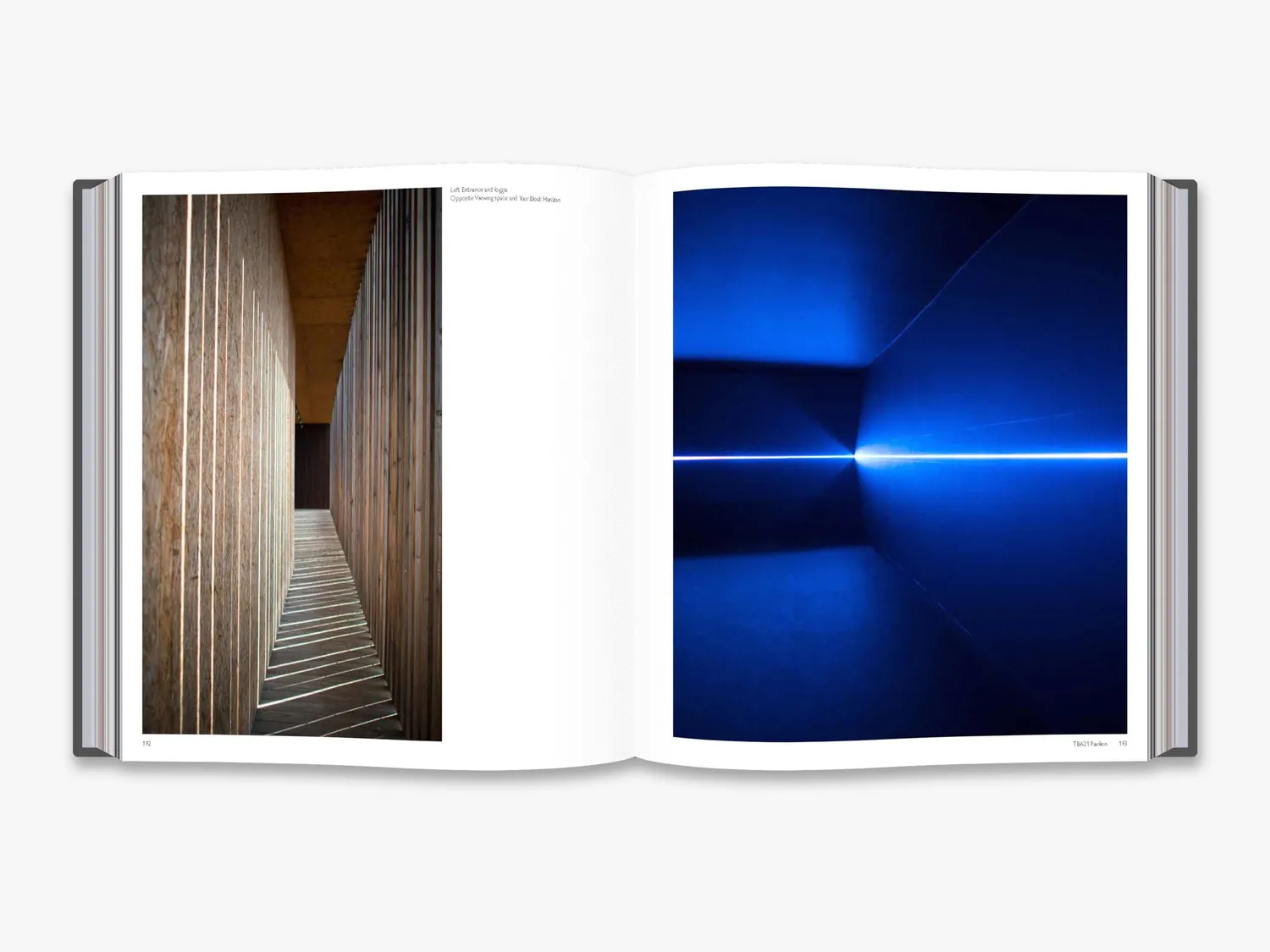Thames & Hudson Adjaye Works 1995-2007 bog arkitektur
