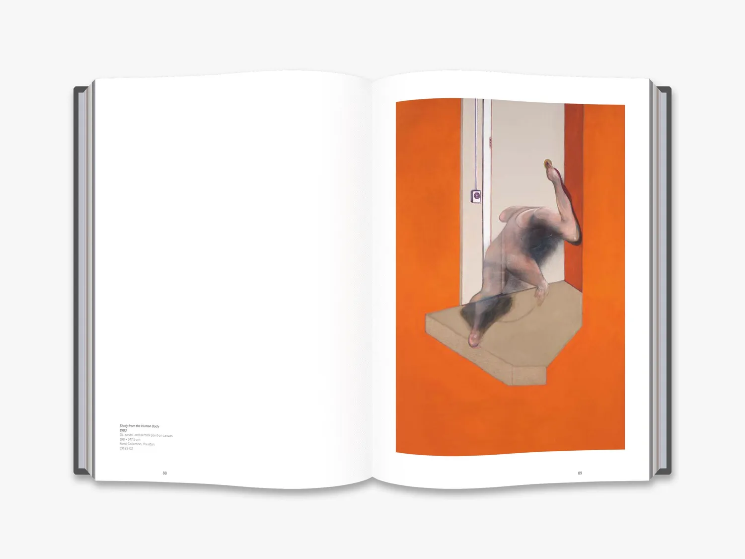 Thames & Hudson Francis Bacon Books and Painting kunstbog