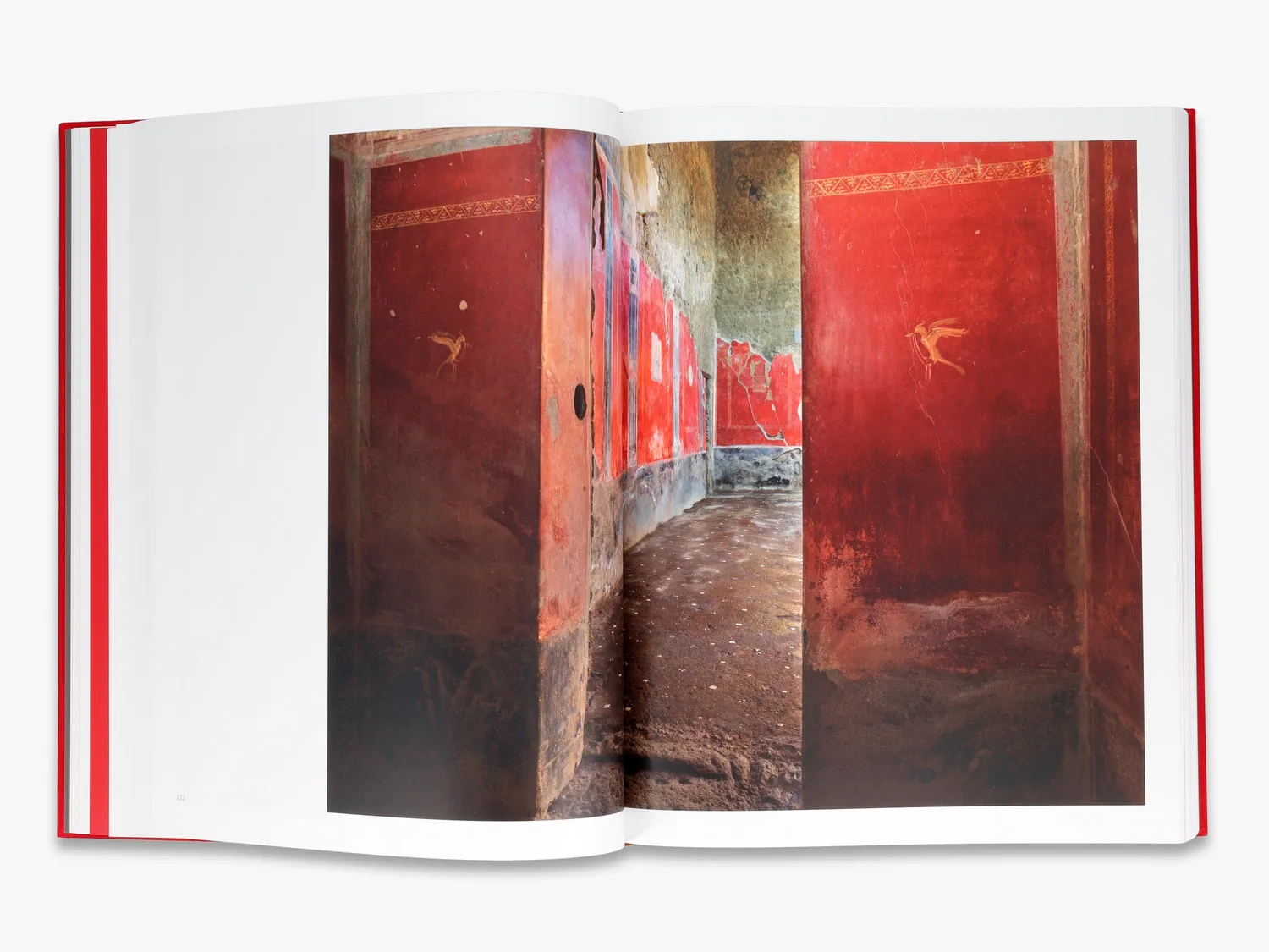 Thames & Hudson Inside Pompeii fotobog Luigi Spina