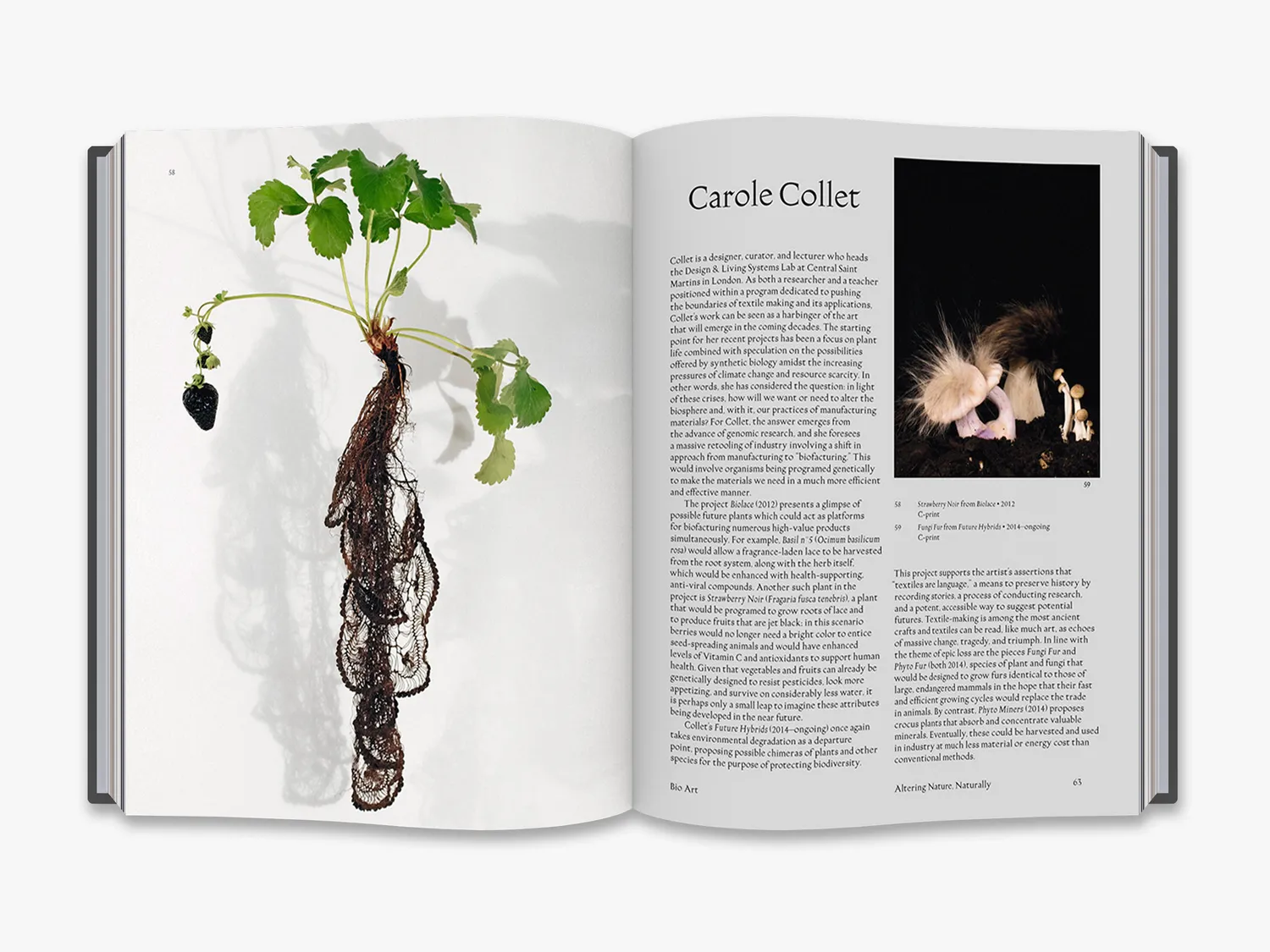 Thames & Hudson Bio Art fagbog samtidskunst bioteknologi