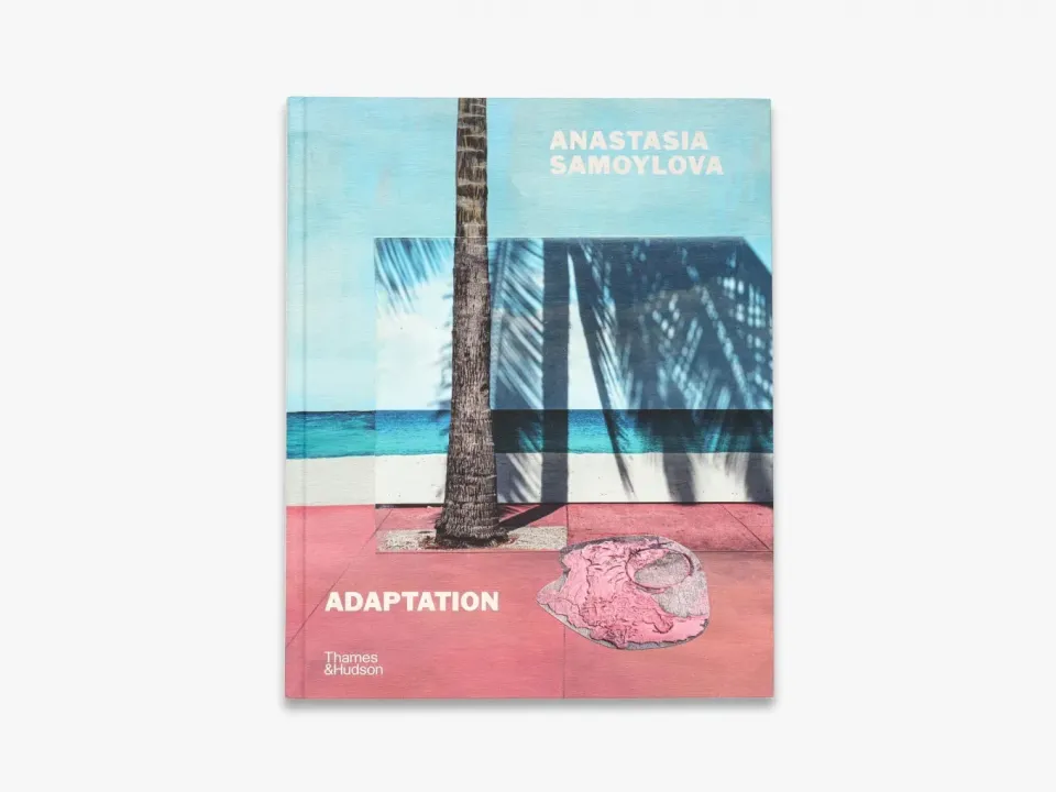 Thames & Hudson Anastasia Samoylova Adaptation fotobog illustreret