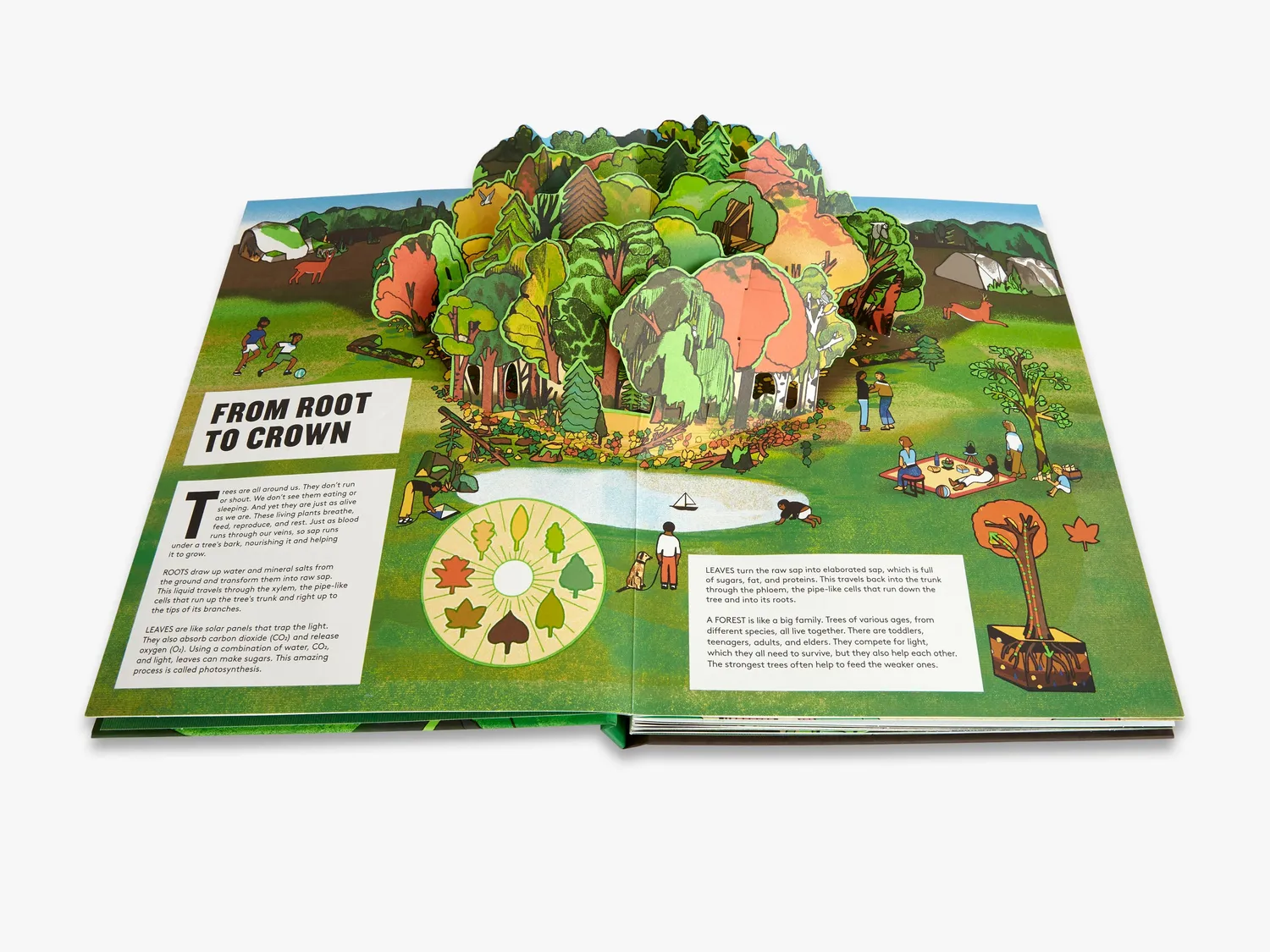 Thames & Hudson Pop-Up Forest pop-op bog skov