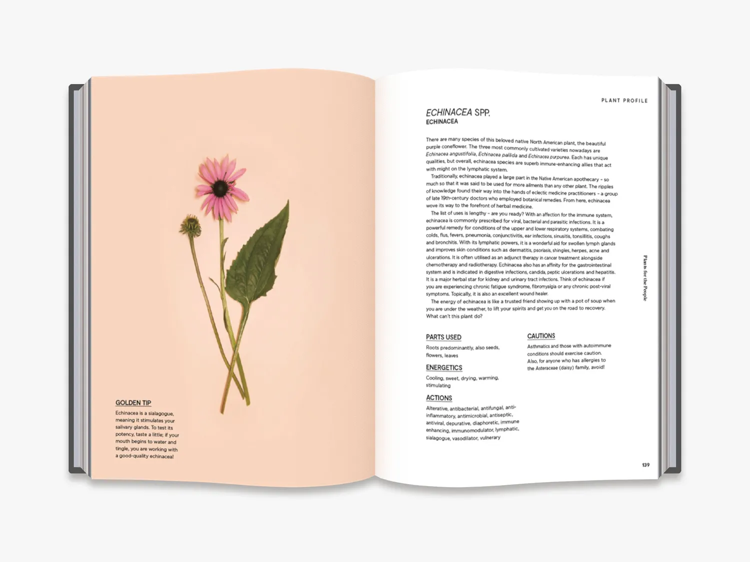 Thames & Hudson Plants for the People bog 40 urter