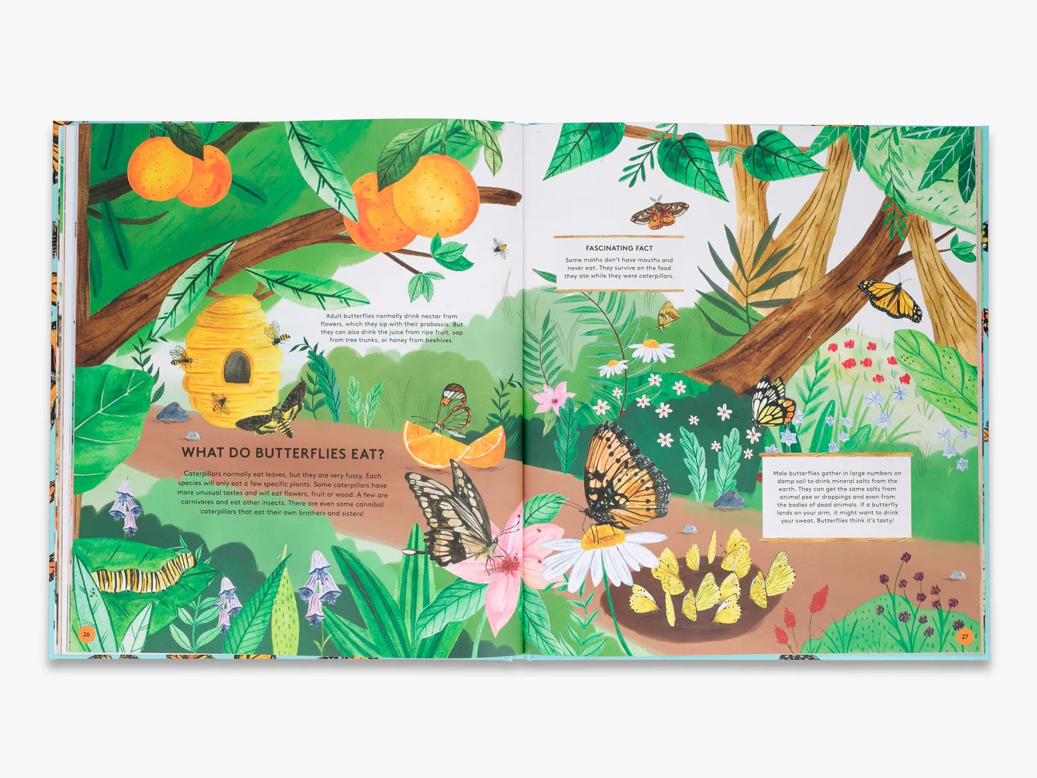 Thames & Hudson Secret Life of Butterflies bog sommerfugle