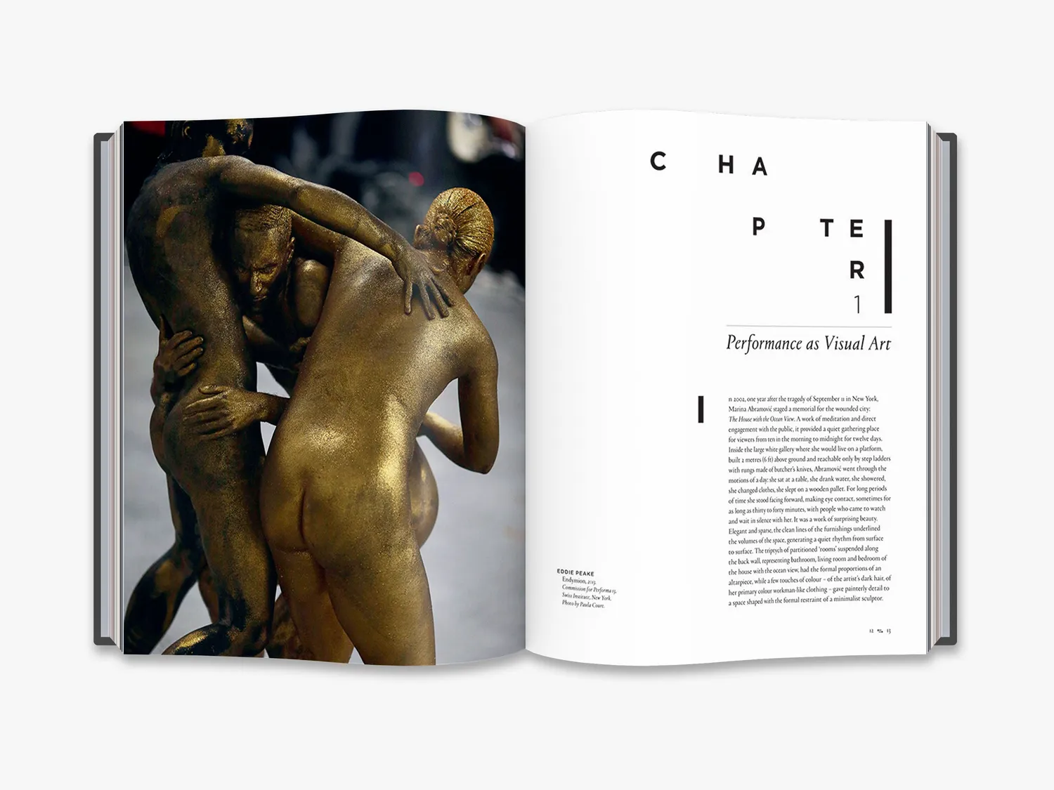 Thames & Hudson Performance Now bog om performancekunst