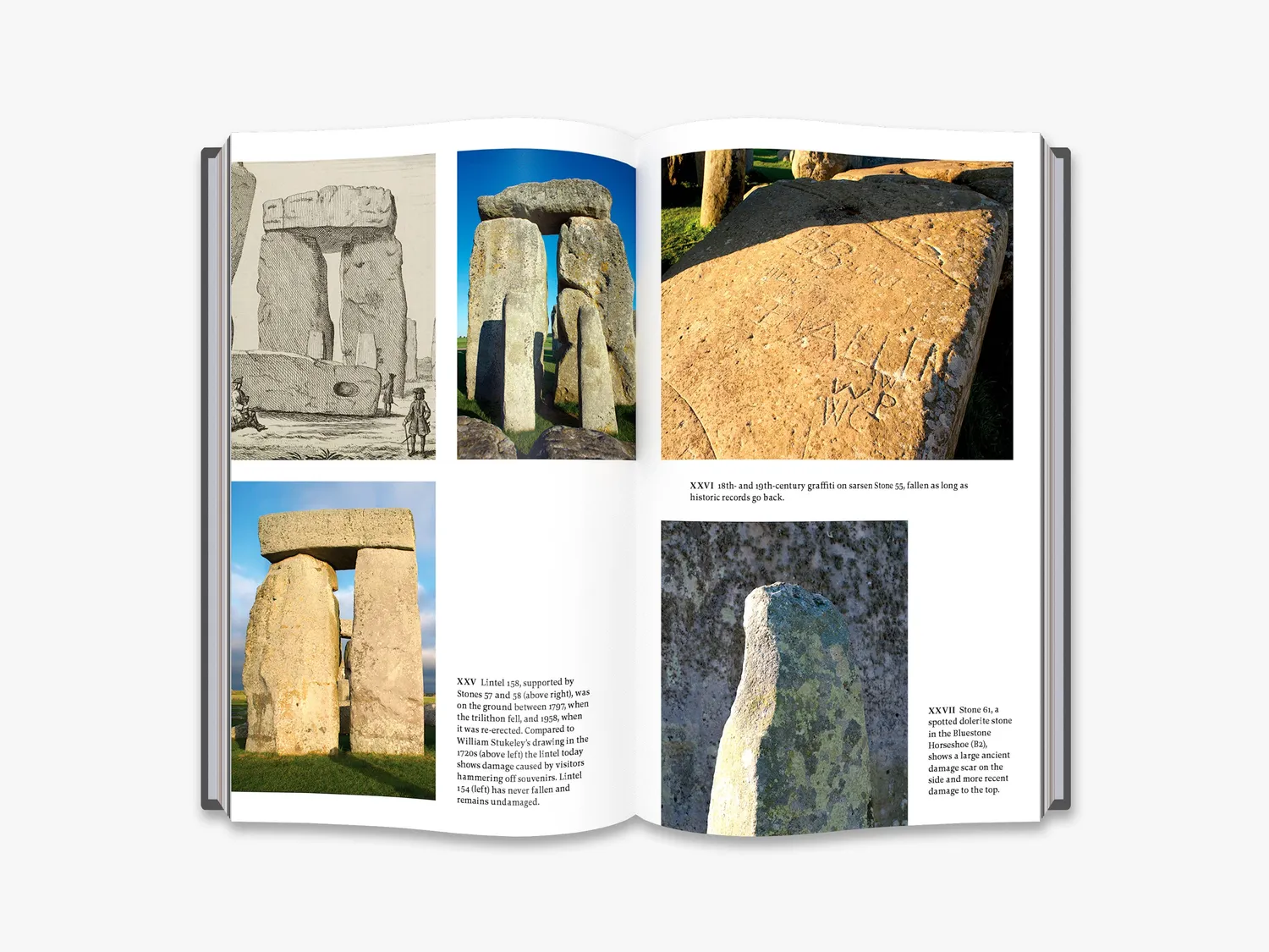 Thames & Hudson How to Build Stonehenge bog arkæologi