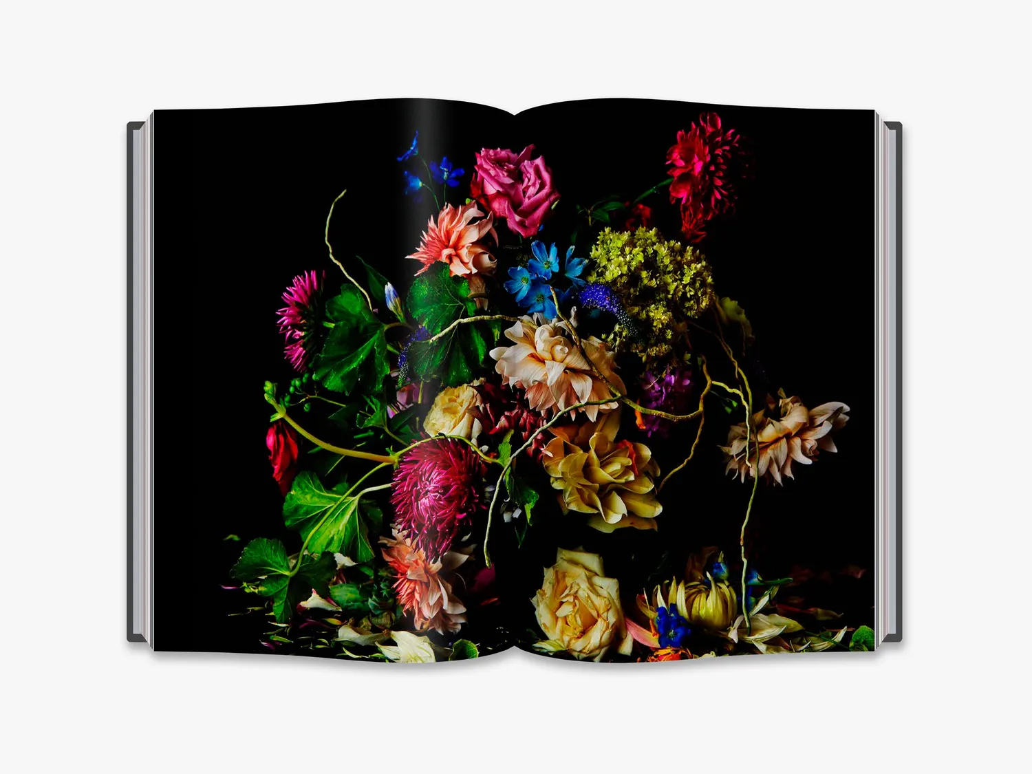 Thames & Hudson Flora Magnifica fotobog – blomster i årstider