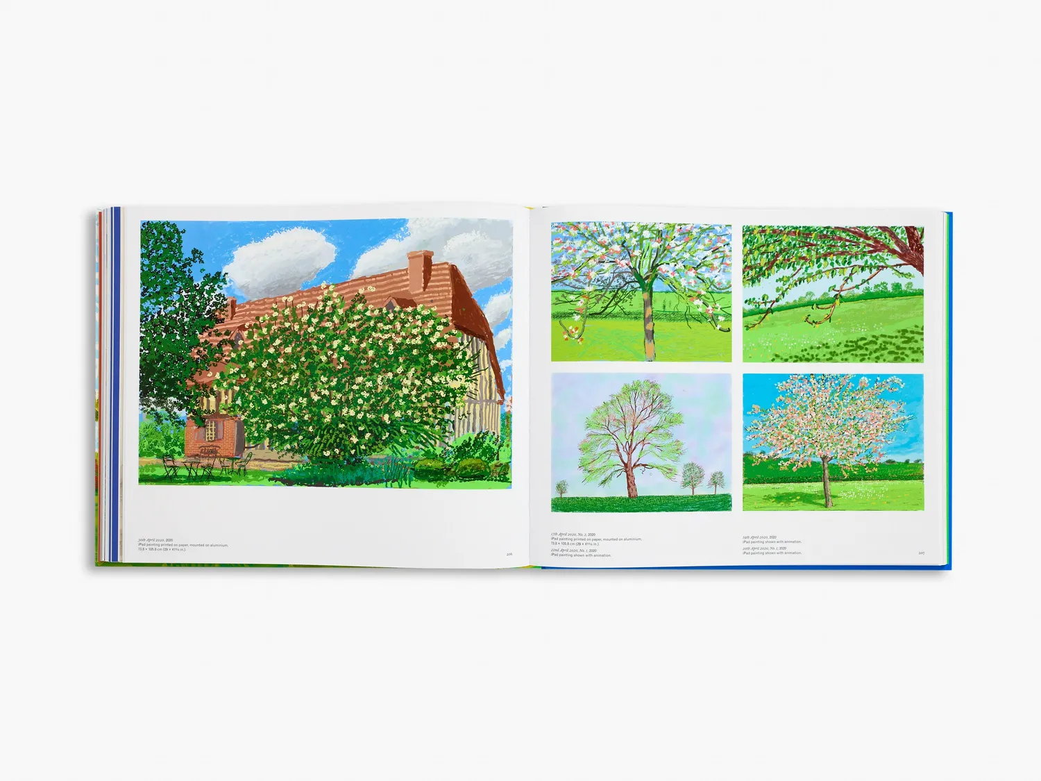 Thames & Hudson David Hockney bog stor illustreret