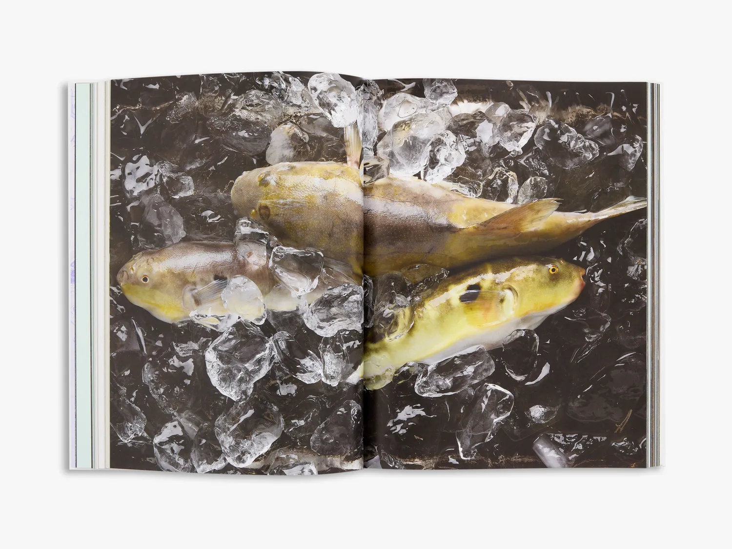 Thames & Hudson The Art of Korean Cooking kogebog