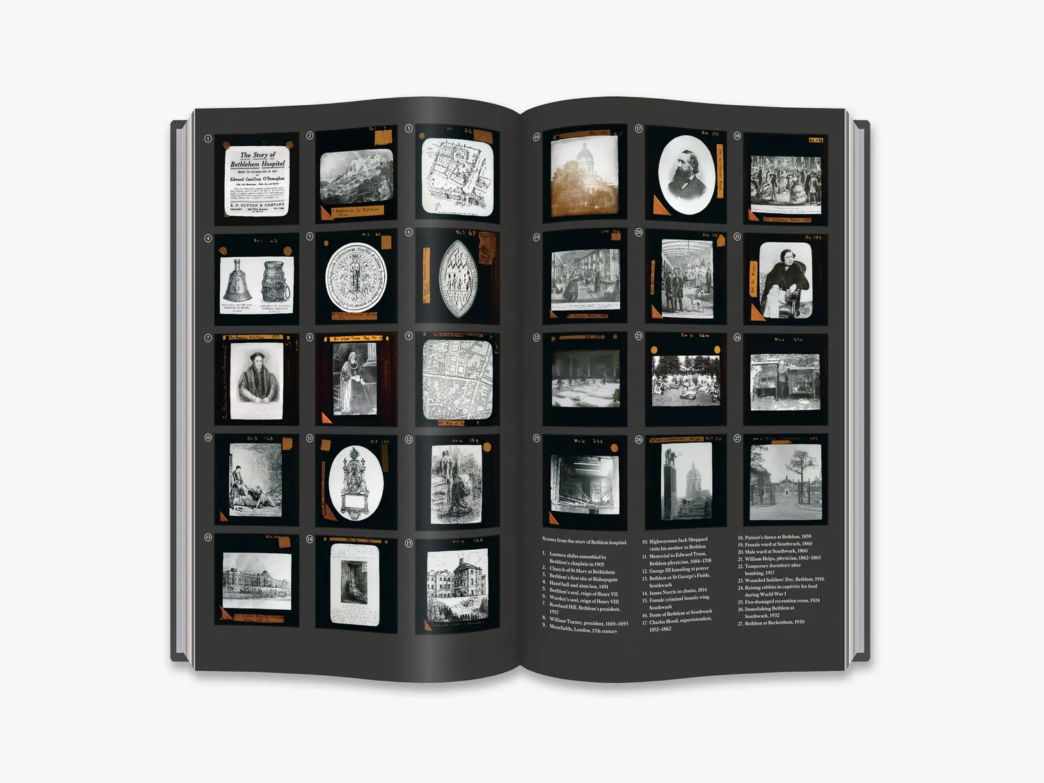Thames & Hudson This Way Madness Lies fagbog – psykiatri