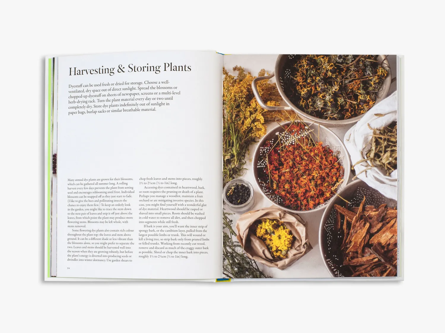 Thames & Hudson From Plant to Pigment håndbog farver