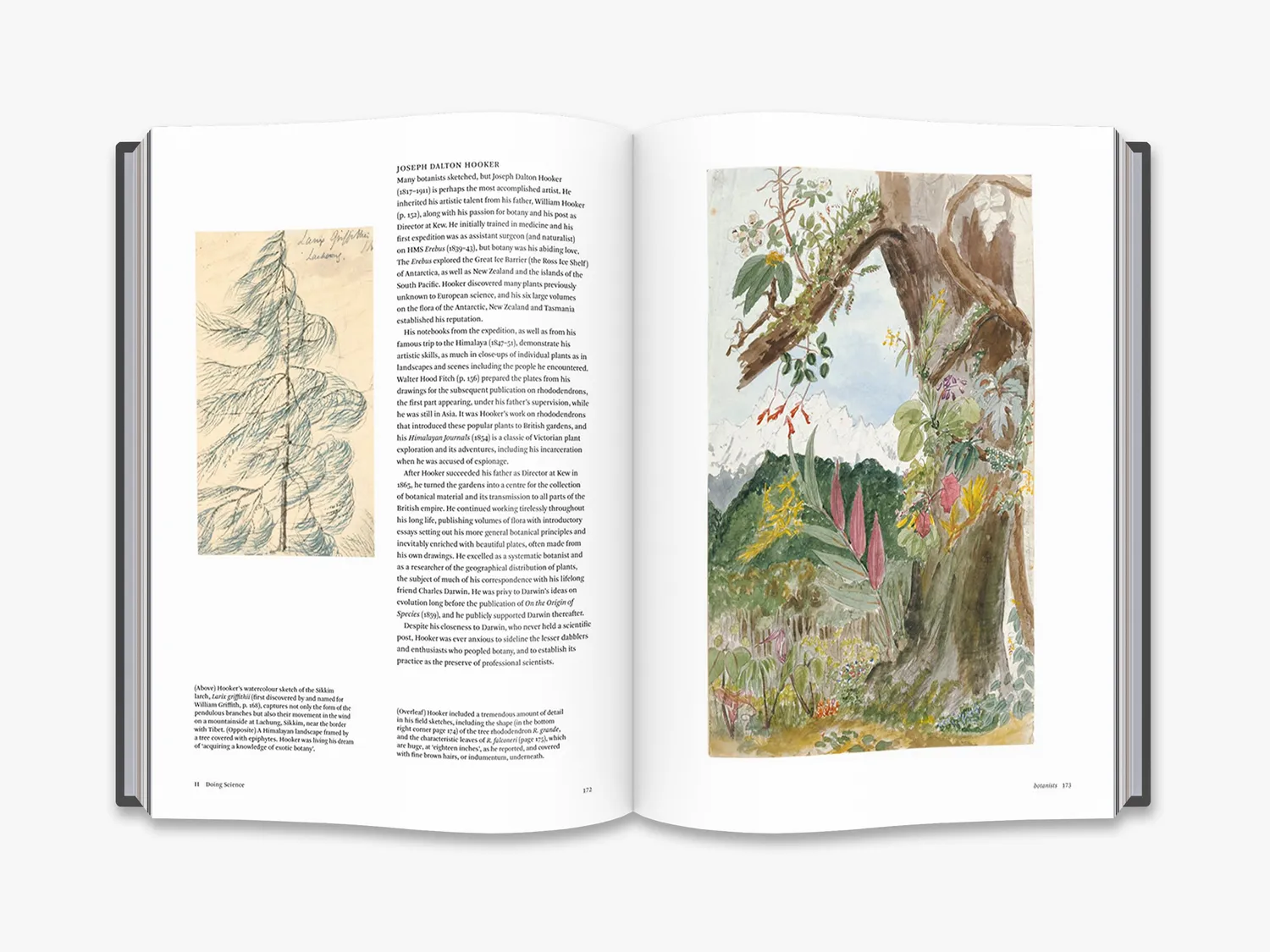 Thames & Hudson Botanical Sketchbooks bog botanisk kunst