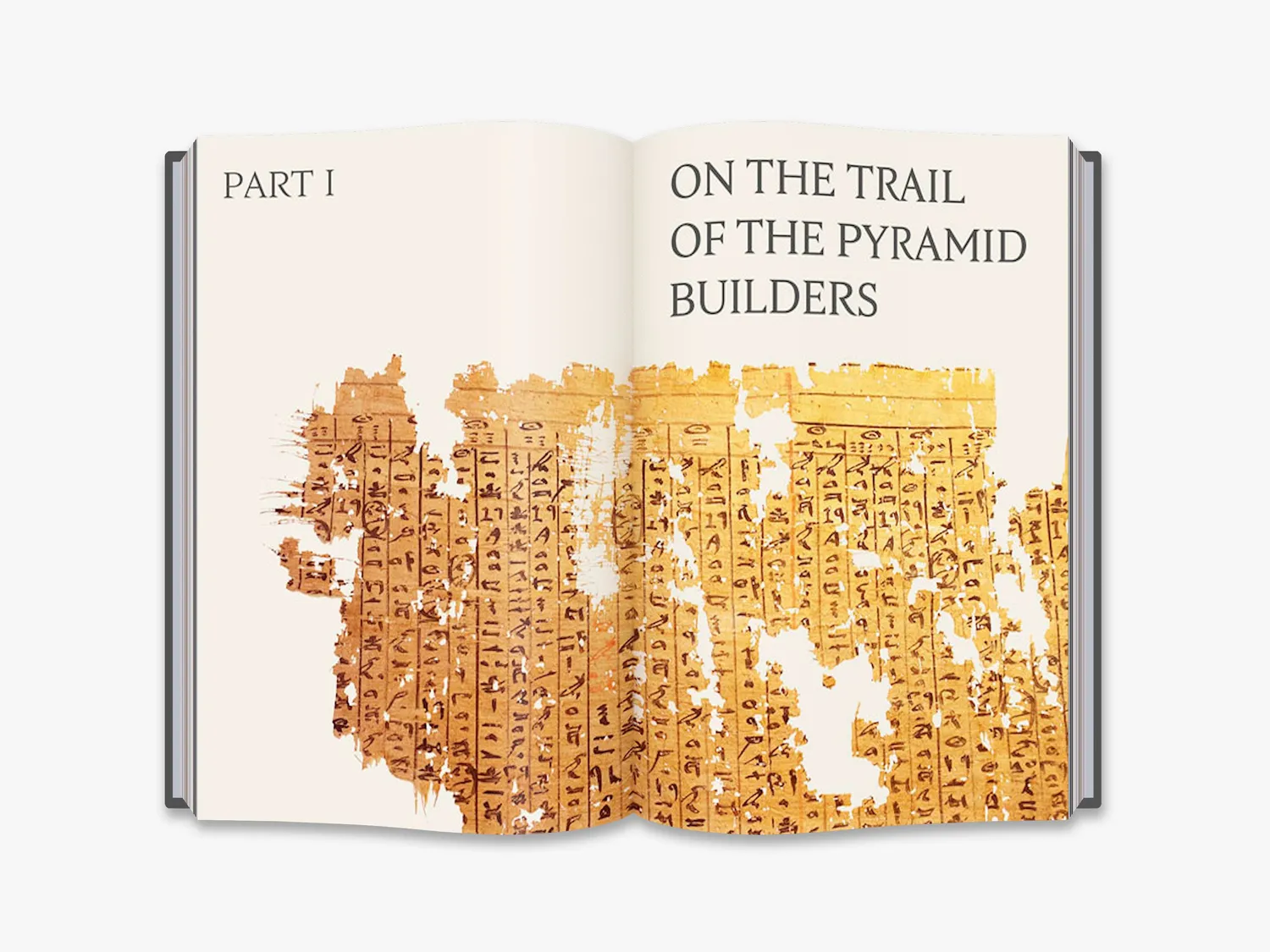 Thames & Hudson The Red Sea Scrolls bog illustreret
