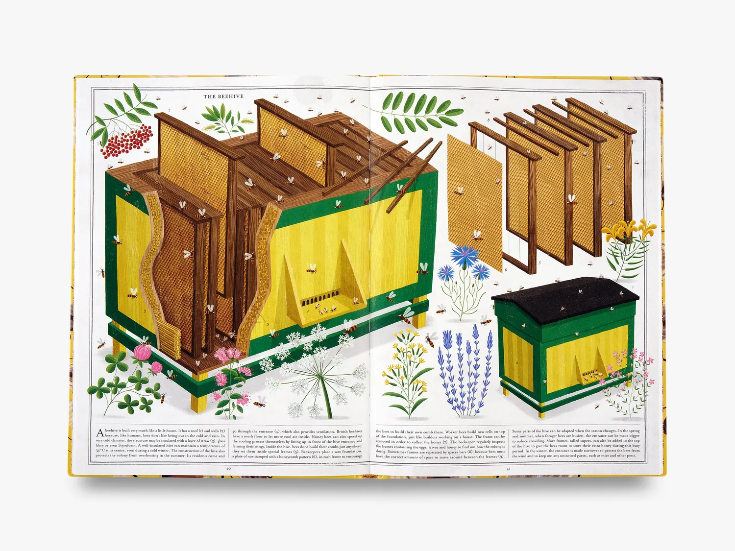 Thames & Hudson The Book of Bees billedbog bier illustreret