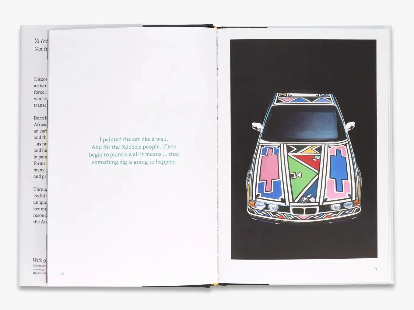 Thames & Hudson Esther Mahlangu kunstbog Ndebele