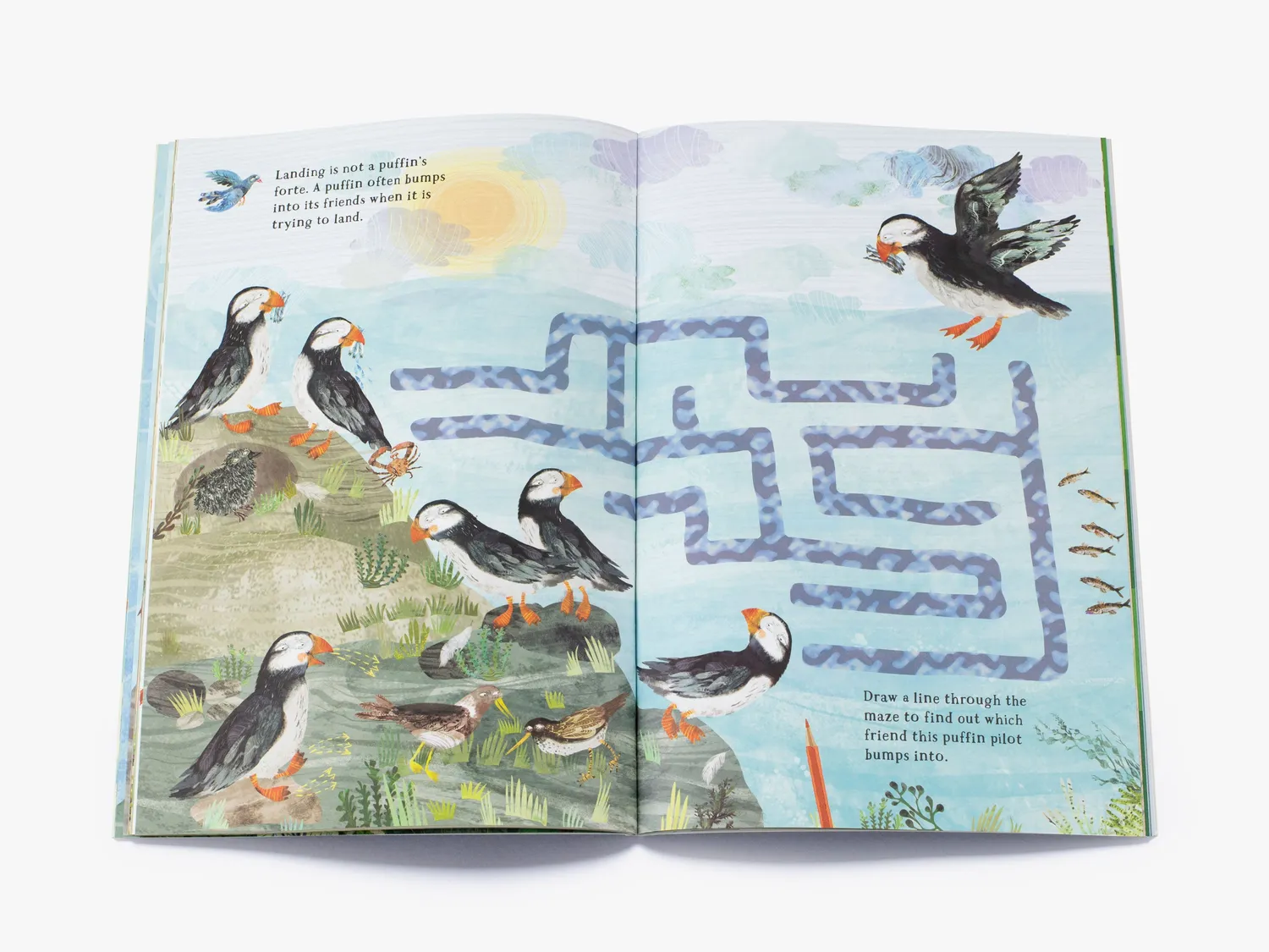 Thames & Hudson Big Sticker Book of Birds klistermærkebog
