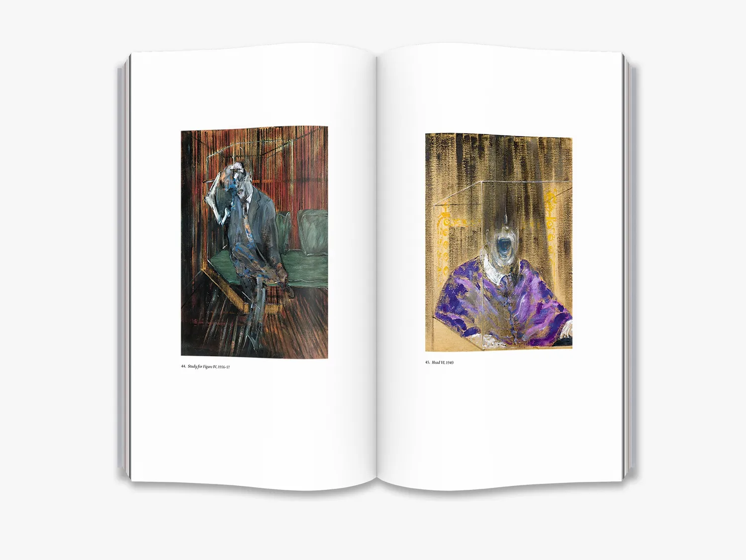 Thames & Hudson Interviews with Francis Bacon bog