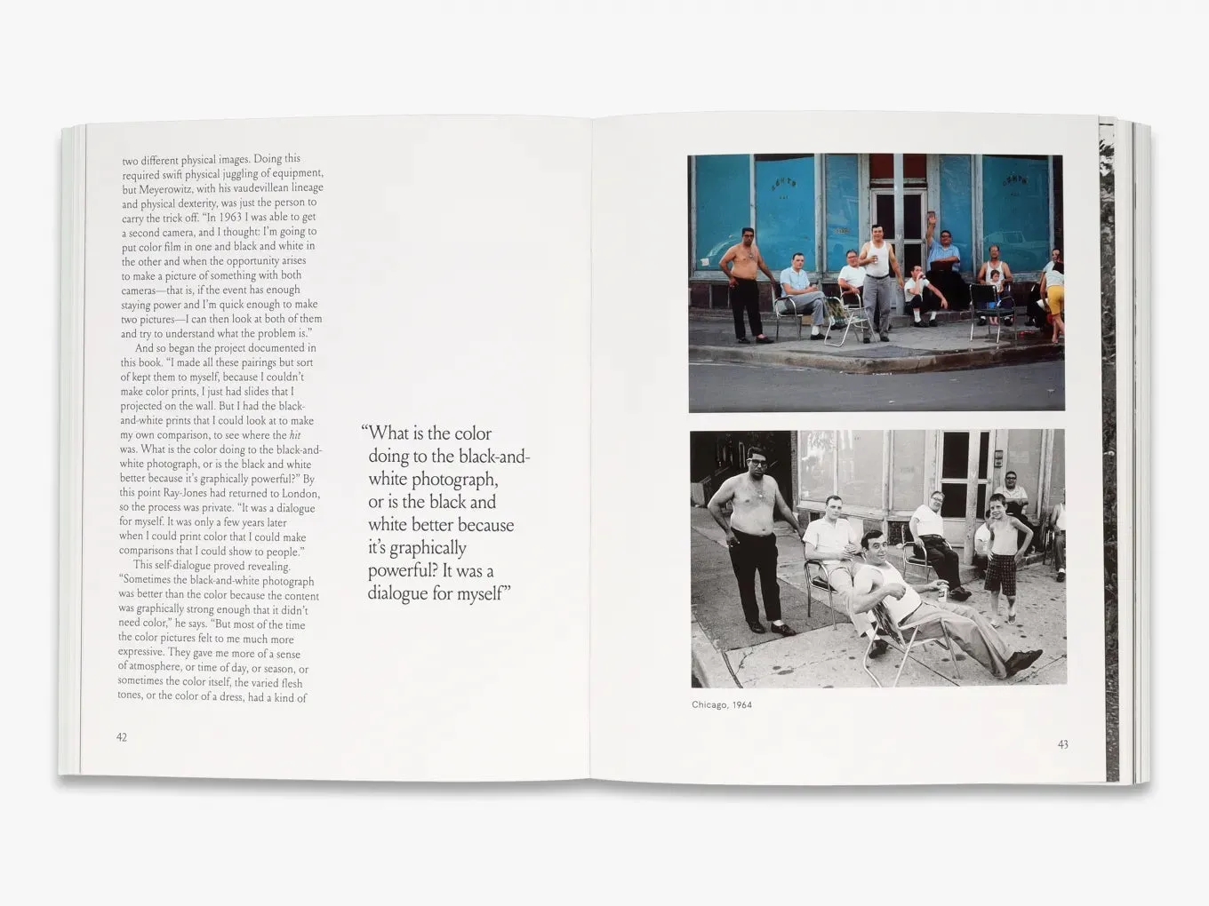 Thames & Hudson Meyerowitz A Question of Color fotobog