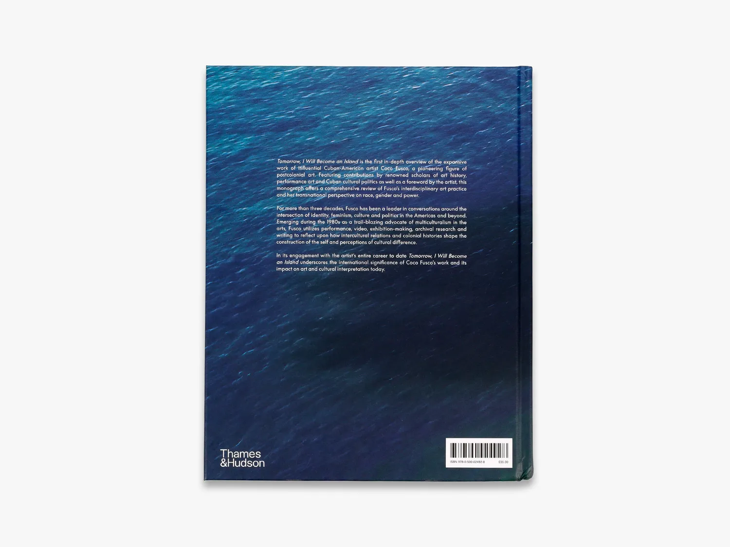 Thames & Hudson Coco Fusco bog om samtidskunst