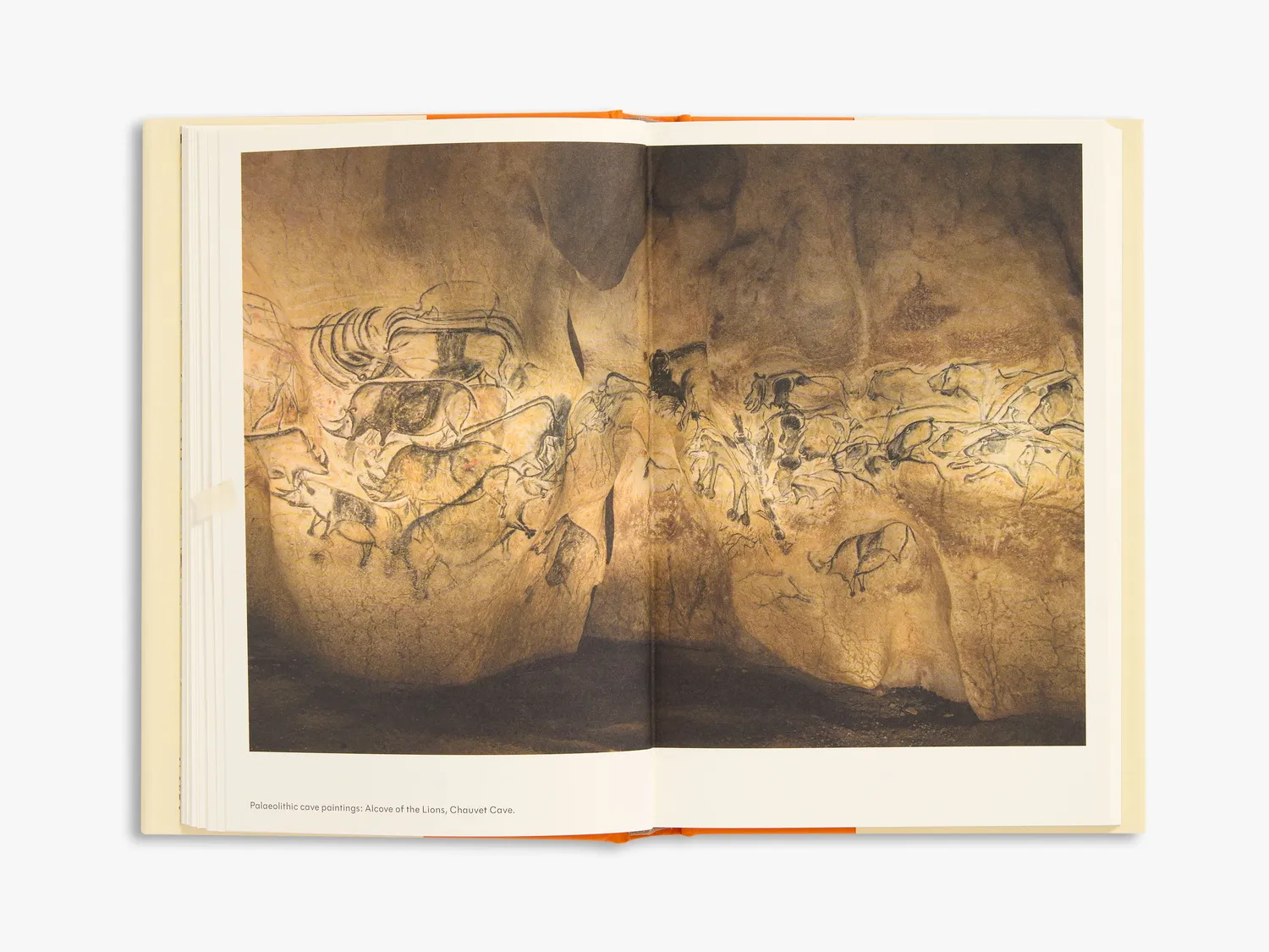 Thames & Hudson Cat Tales fagbog om katte
