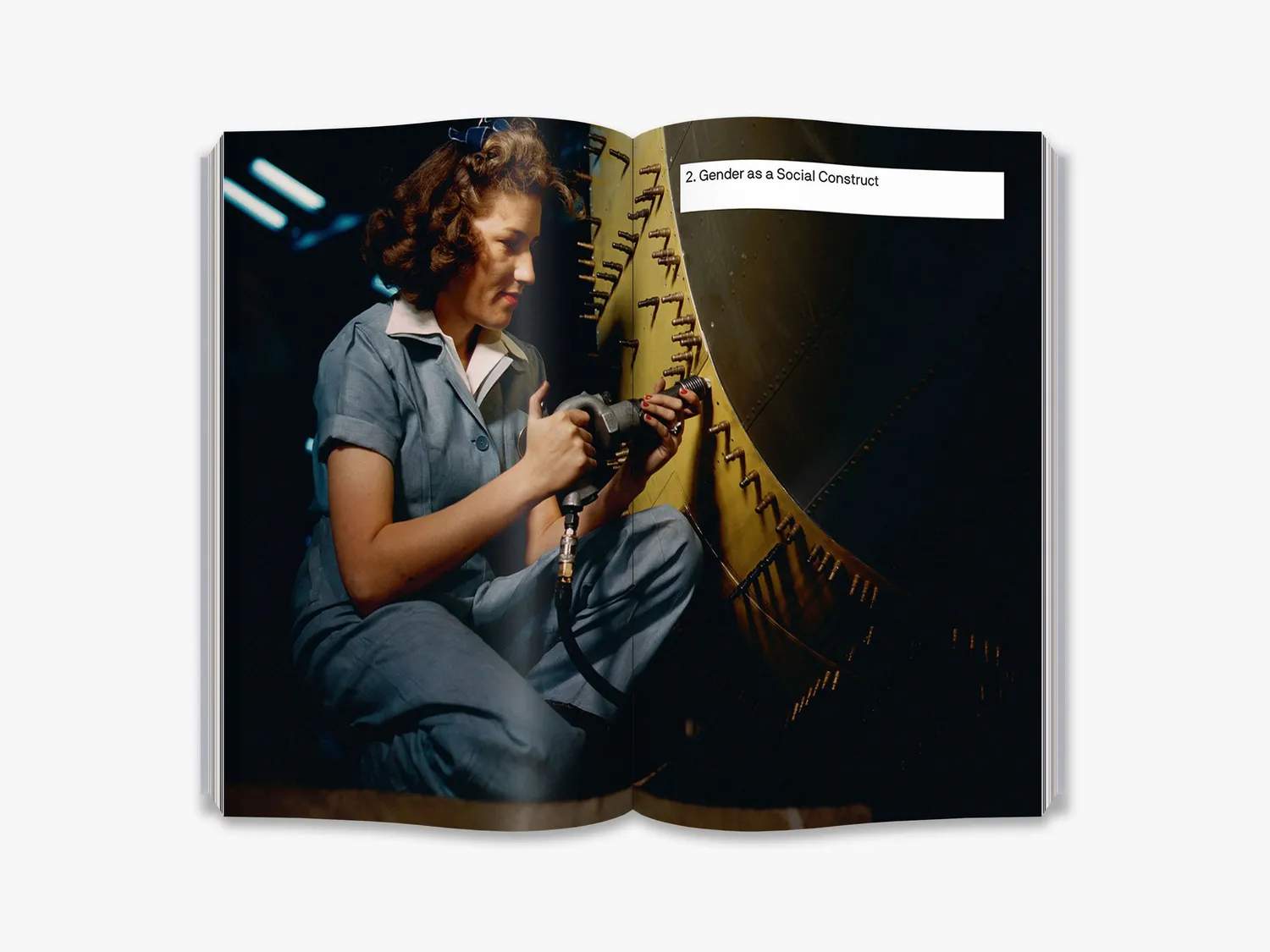 Thames & Hudson The Big Idea Is Gender Fluid bog køn