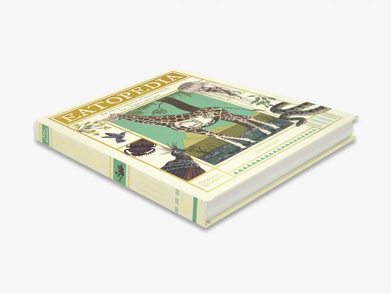 Thames & Hudson Eatopedia Aina Bestard børnebog fordøjelse