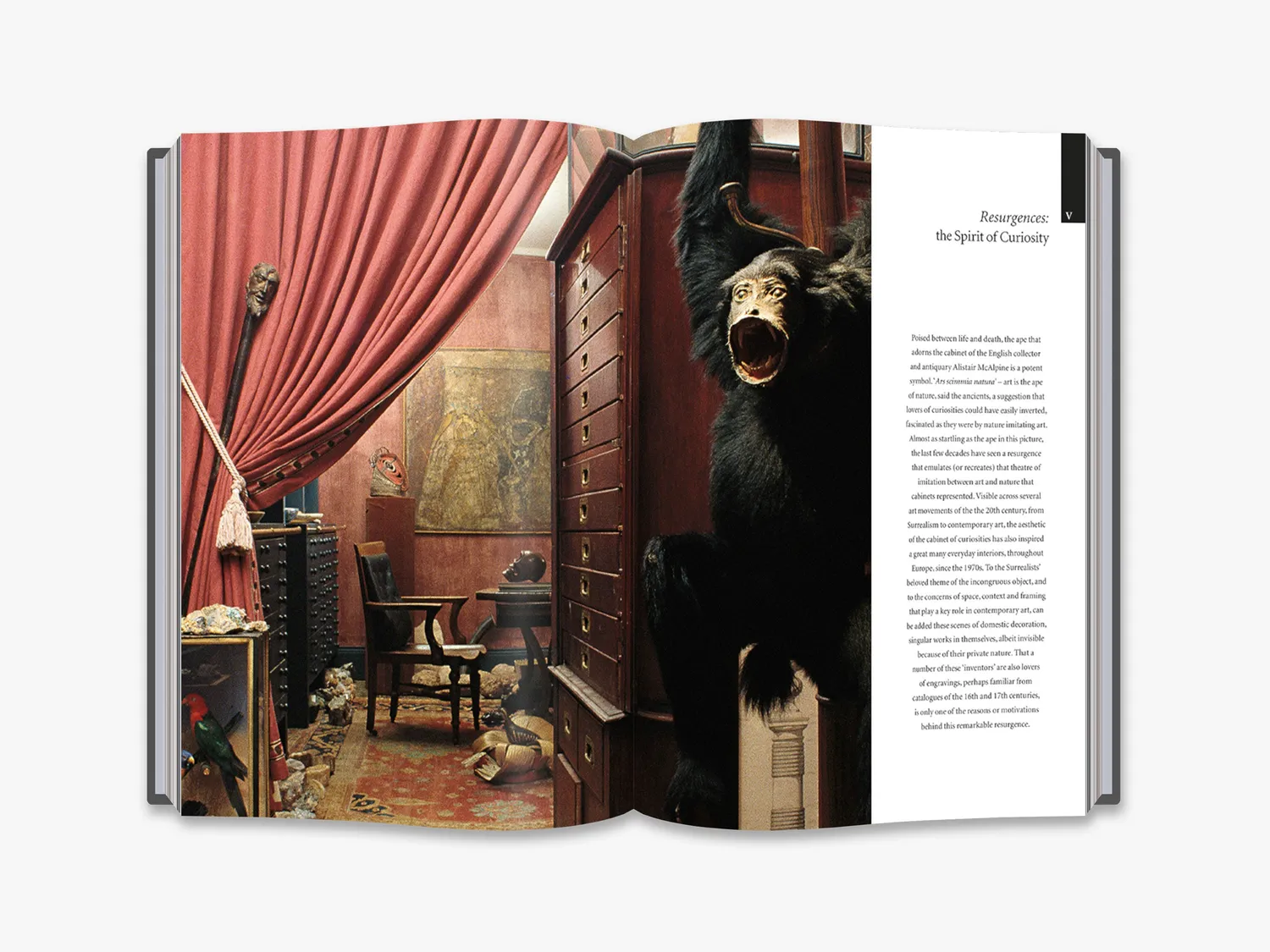 Thames & Hudson Cabinets of Curiosities bog illustreret historie