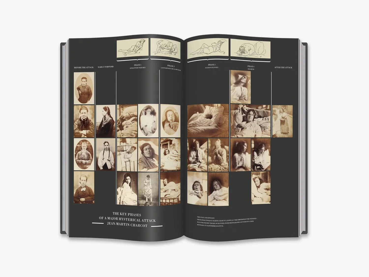Thames & Hudson This Way Madness Lies fagbog – psykiatri