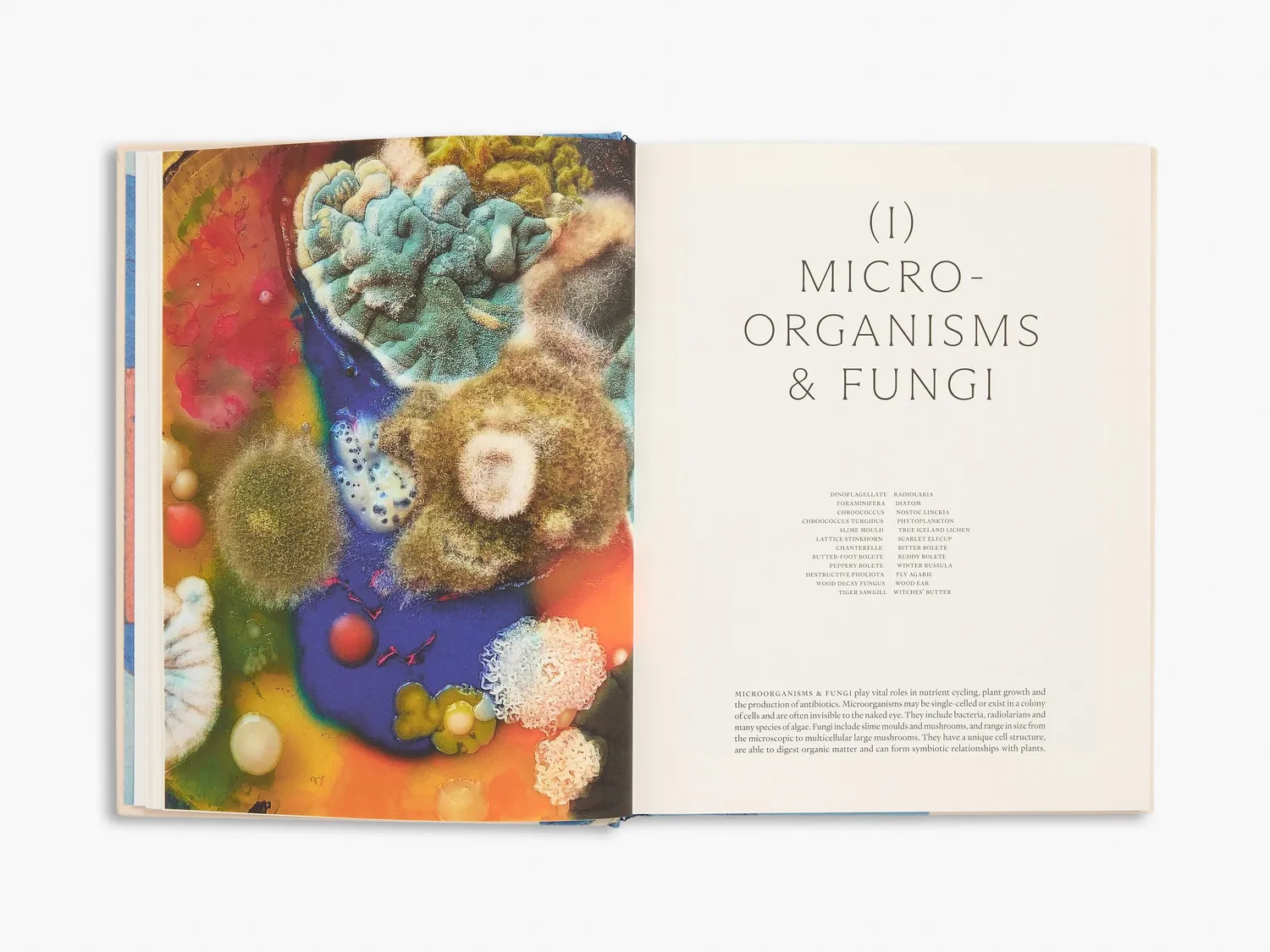 Thames & Hudson Ark billedbog om natur og arter