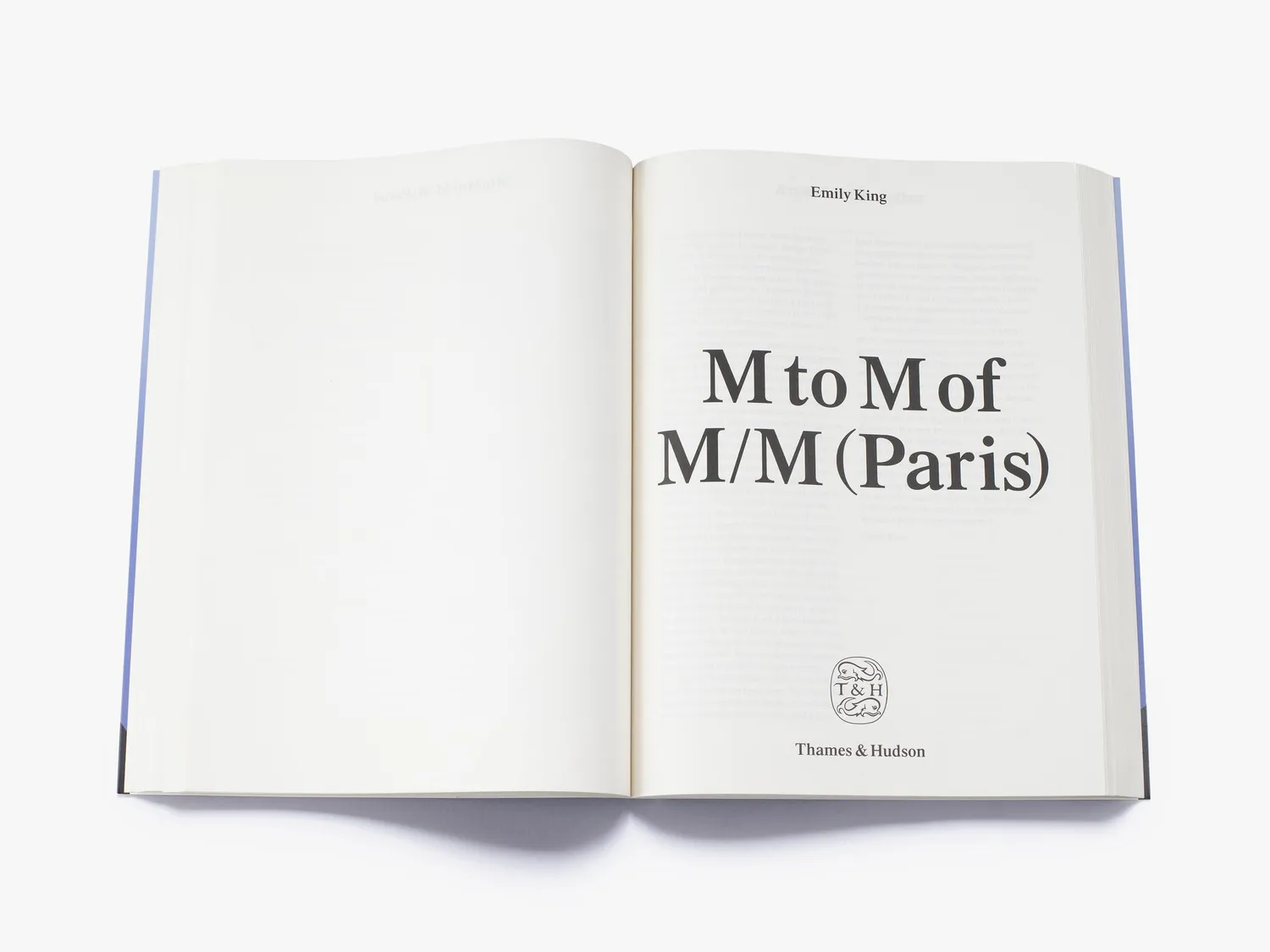 Thames & Hudson M to M of M/M Paris Vol.1 bog