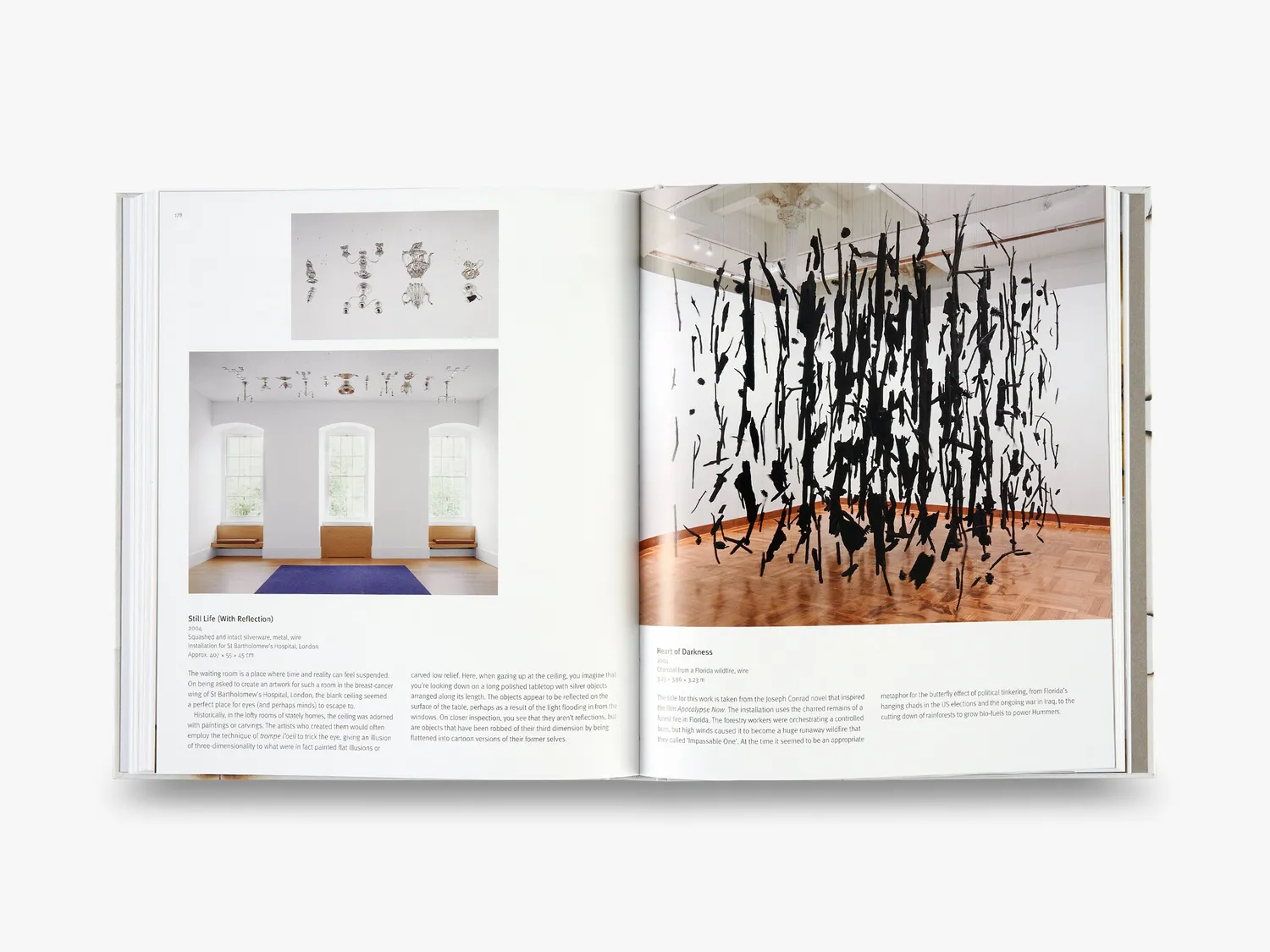 Thames & Hudson Cornelia Parker monografi limited edition
