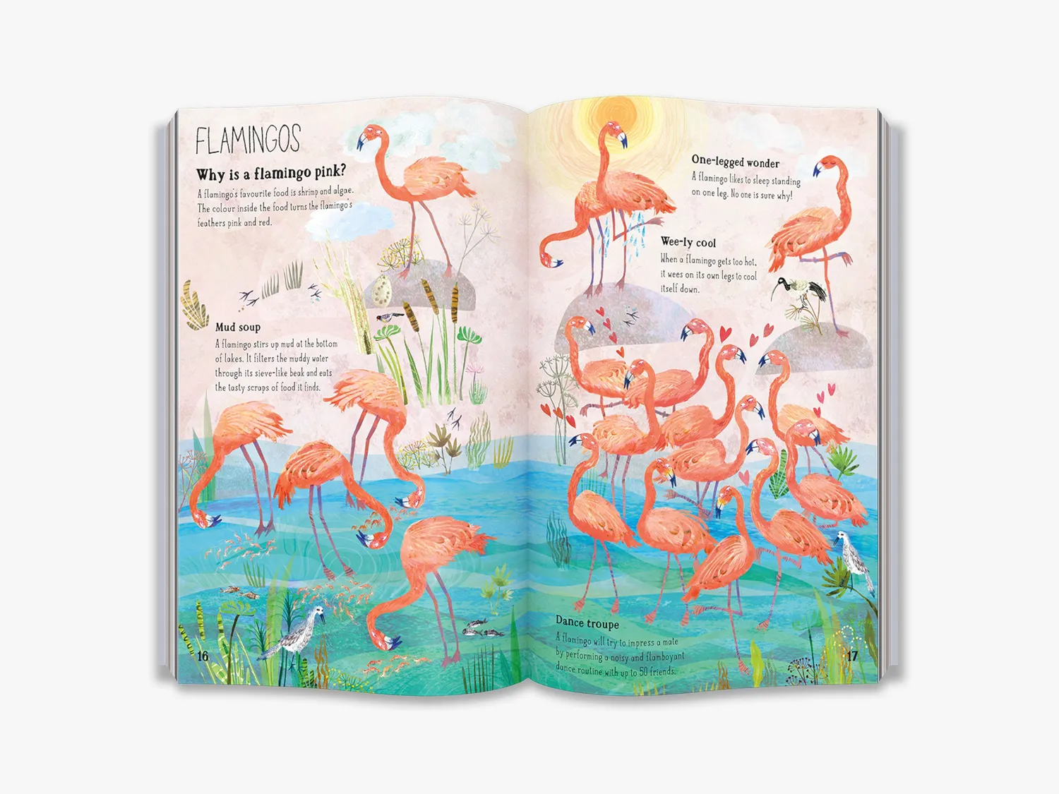 Thames & Hudson The Big Book of Birds børnebog fugle