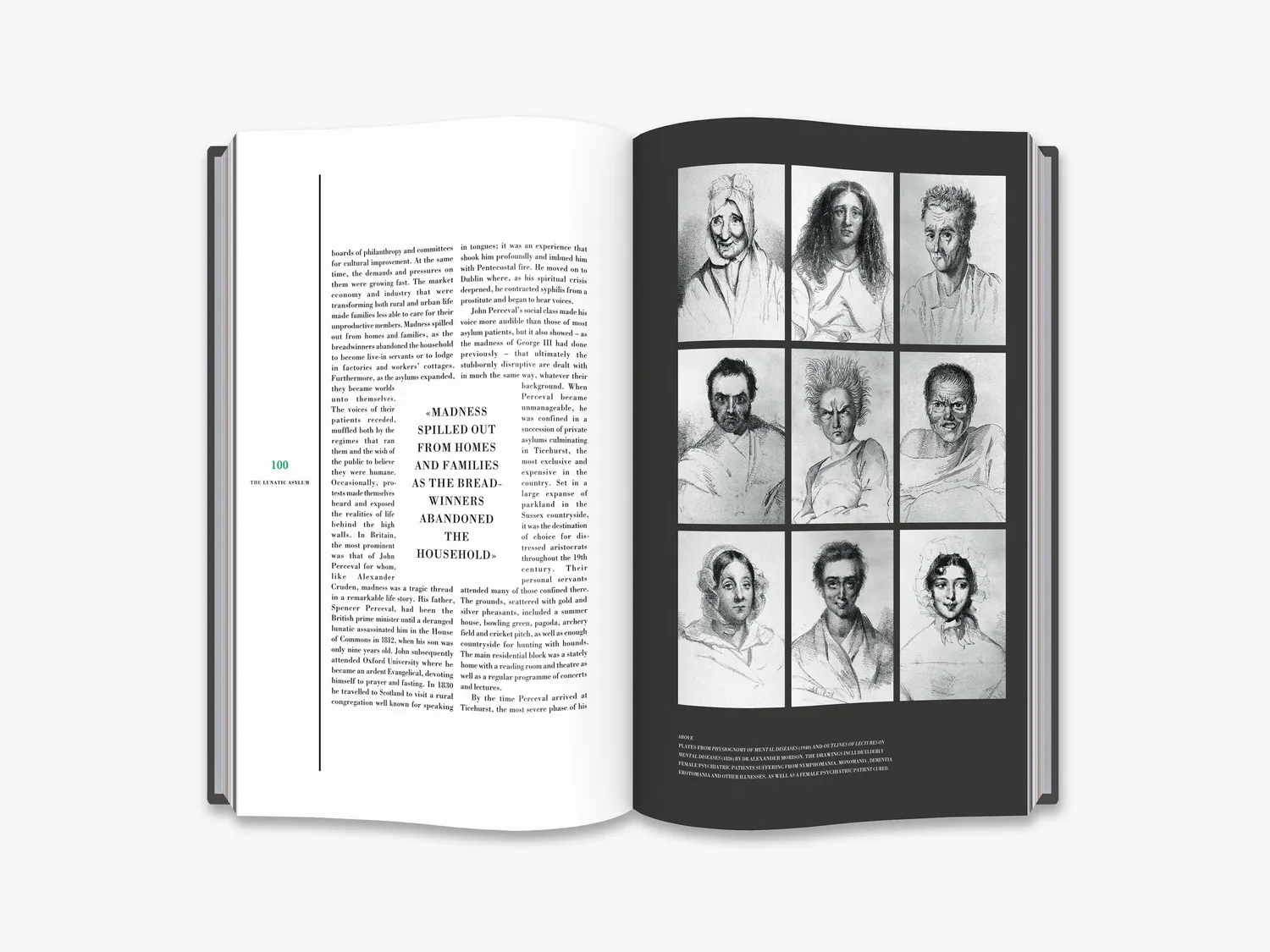 Thames & Hudson This Way Madness Lies fagbog – psykiatri
