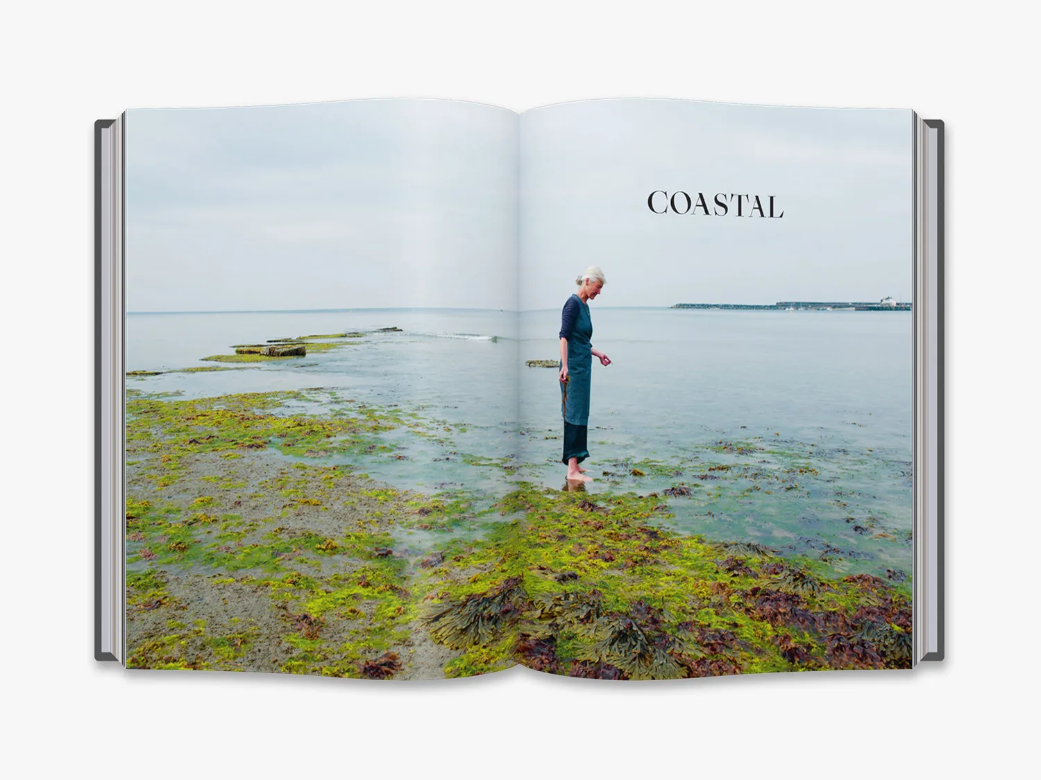 Thames & Hudson The Foraged Home bog interiørbog