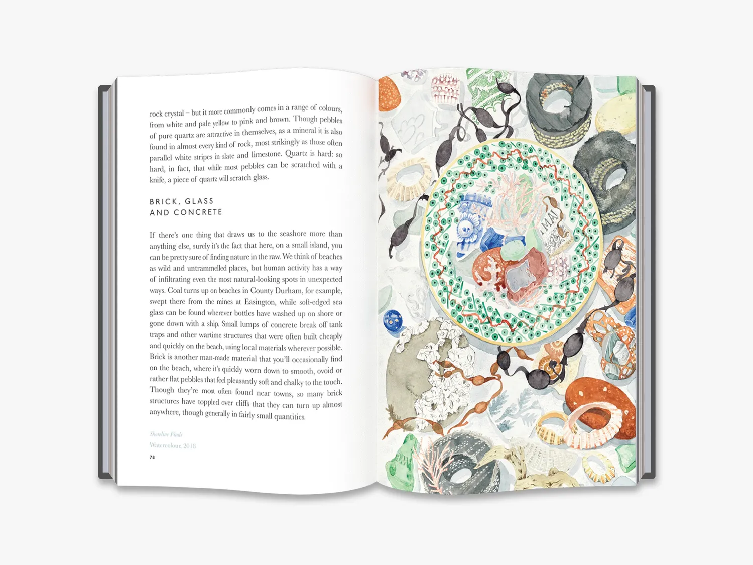 Thames & Hudson The Book of Pebbles naturbog
