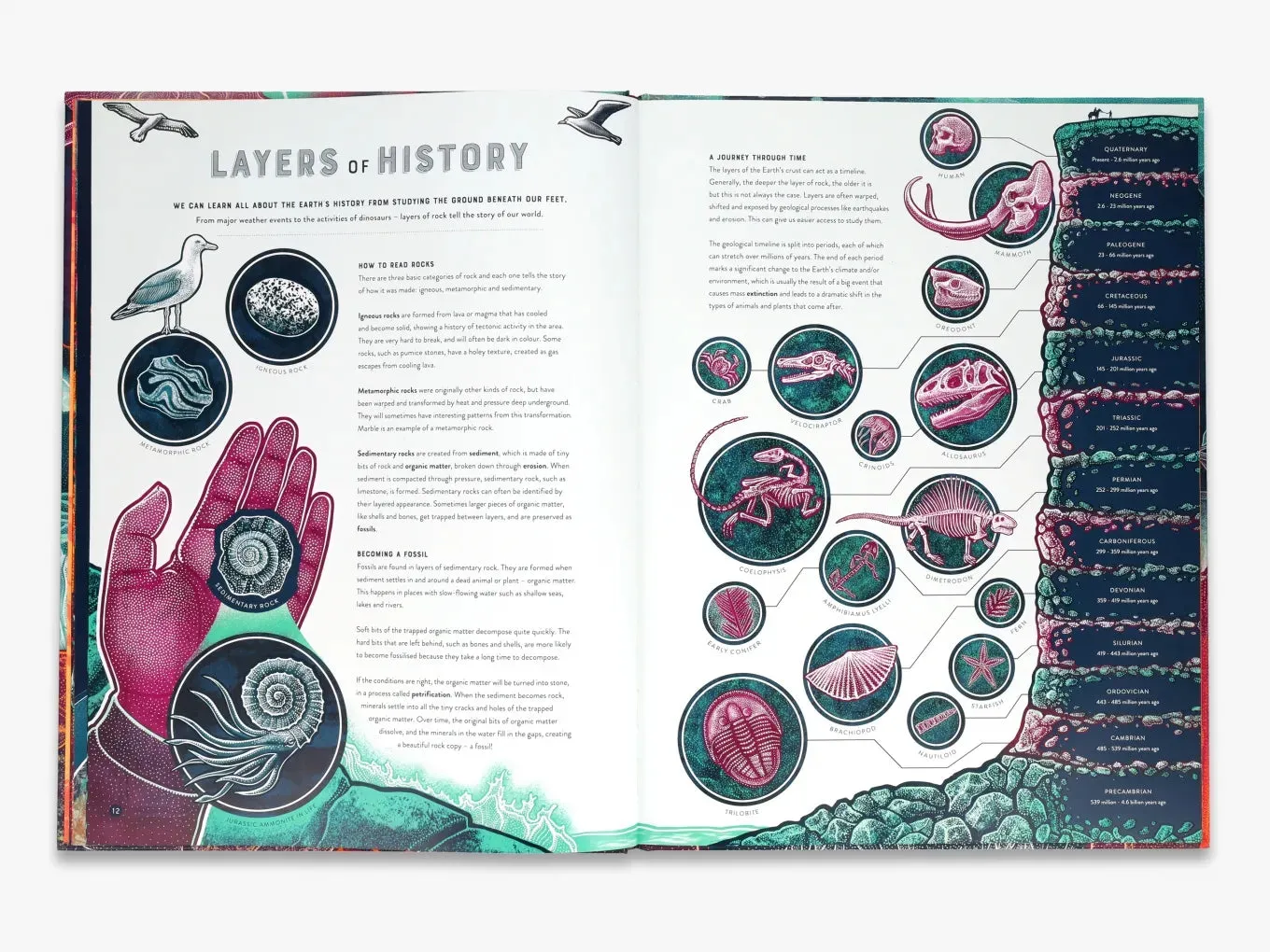 Thames & Hudson Wild Wonders Bang bog illustreret natur