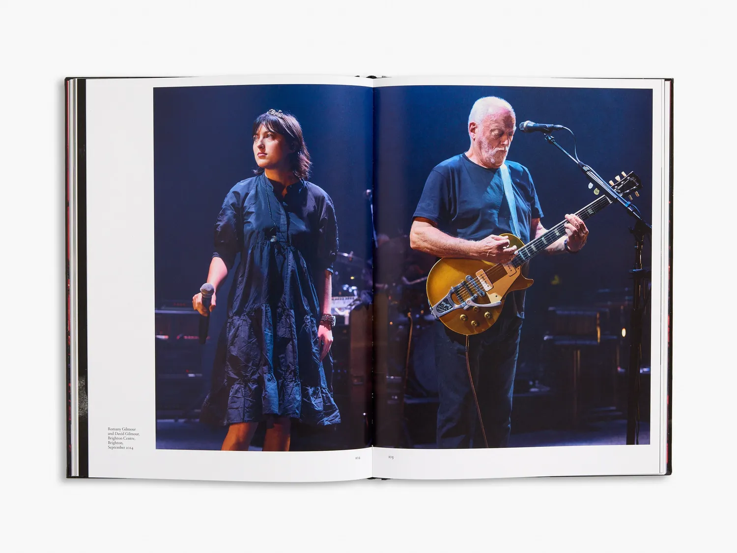 Thames & Hudson David Gilmour Luck and Strange fotobog